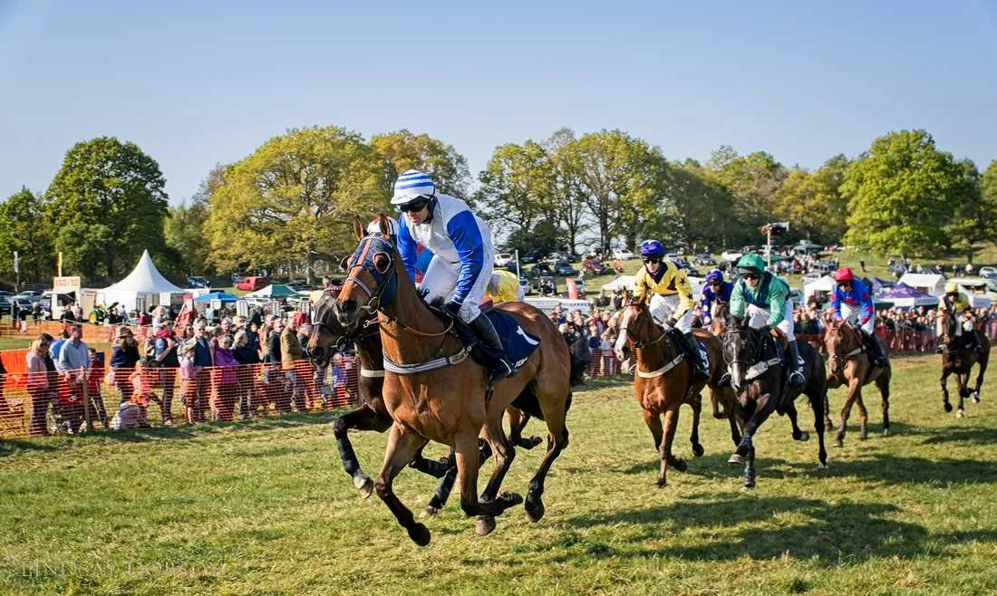 Equine Photographer West Sussex Parham Point to Point 2017