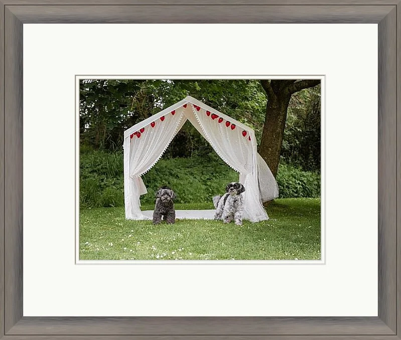 robinson-frames-WEB-20-4.jpg