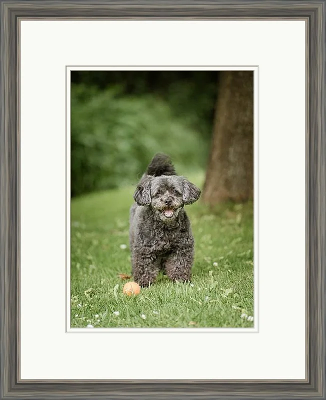 robinson-frames-WEB-20-5.jpg