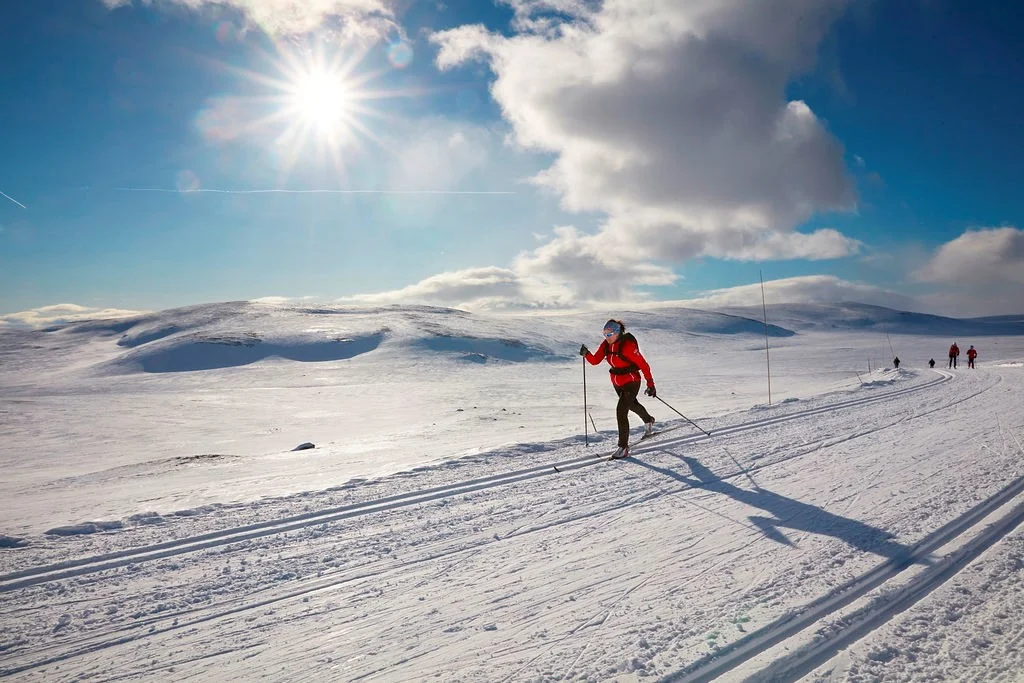 jomfrurennet.jpg