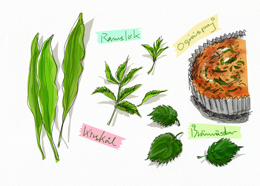 wild vegetable pie