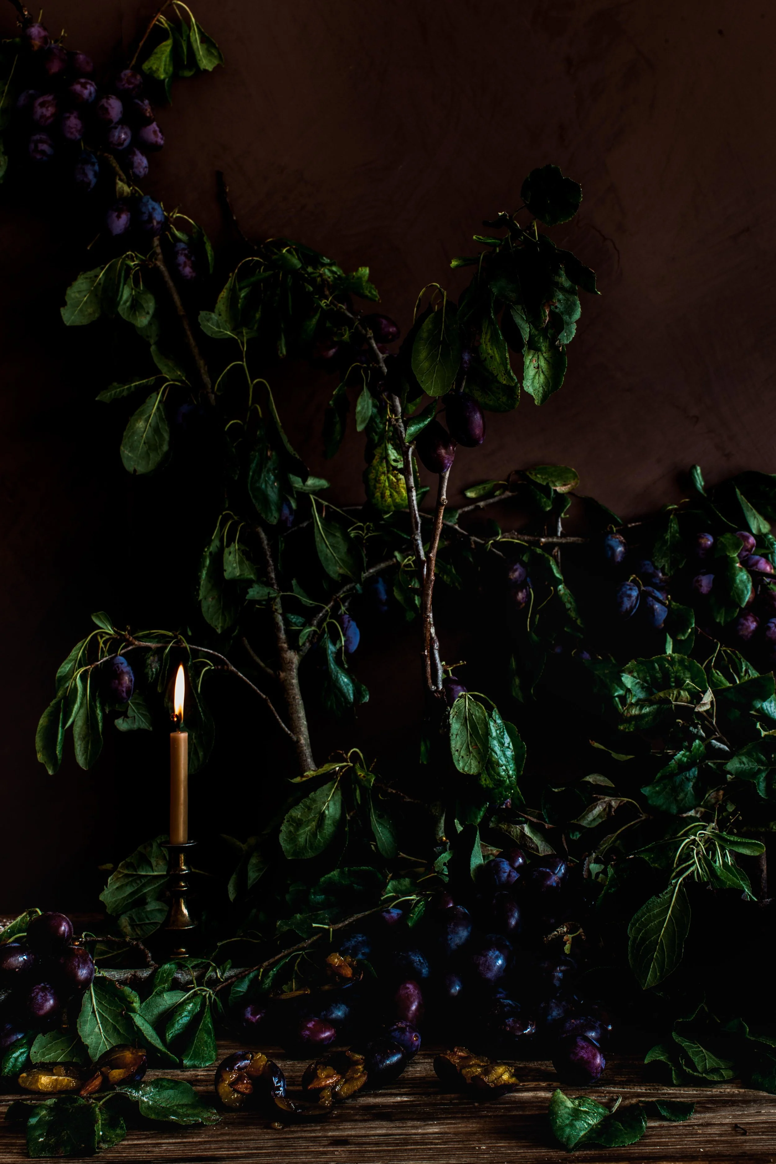 thespace_plums-5.jpg