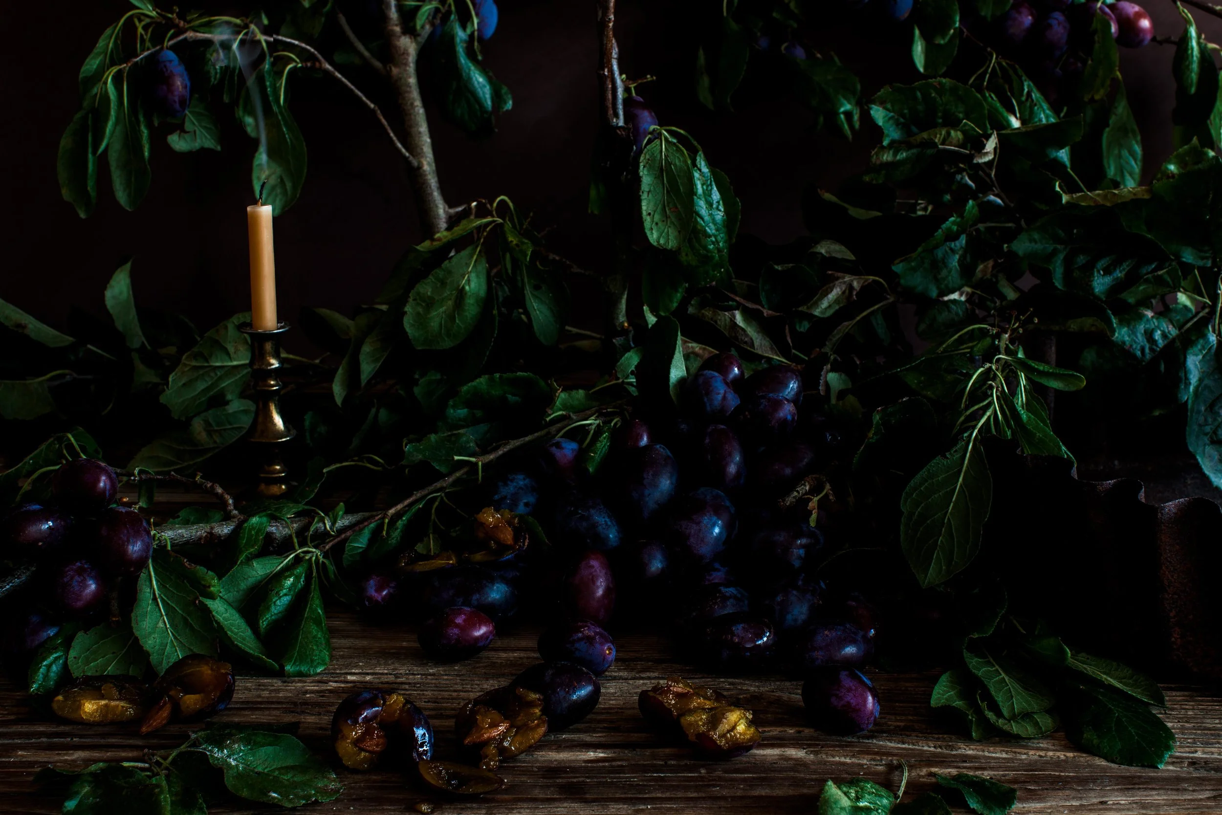 thespace_plums-6.jpg