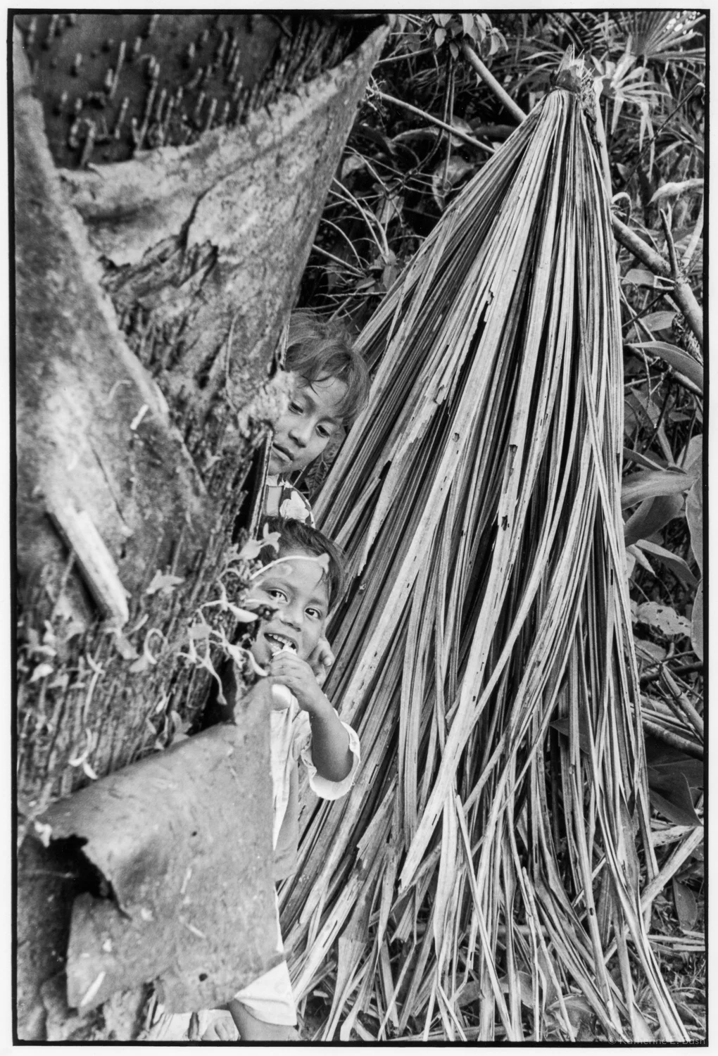 Playing near the Chakra II , Quichua, Canelos, Pastaza, Oriente Ecuador, Amazonia, 1999