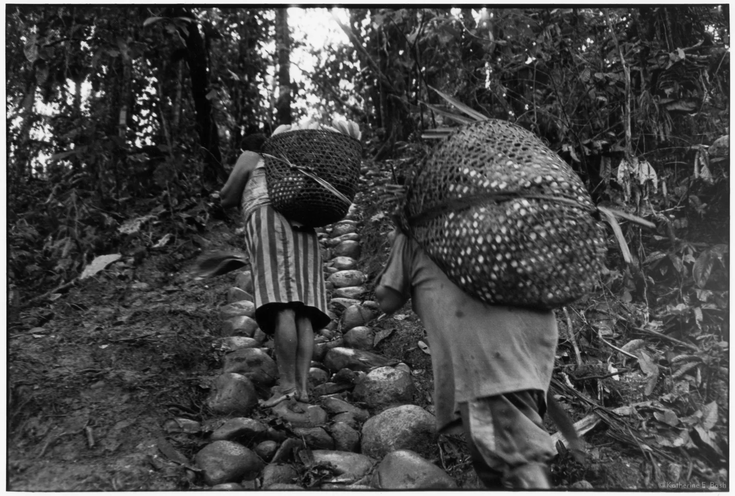 La Pausa, on Return from the Chakra, with Whistling , Quichua, Canelos, Pastaza, Oriente Ecuador, Amazonia, 1999