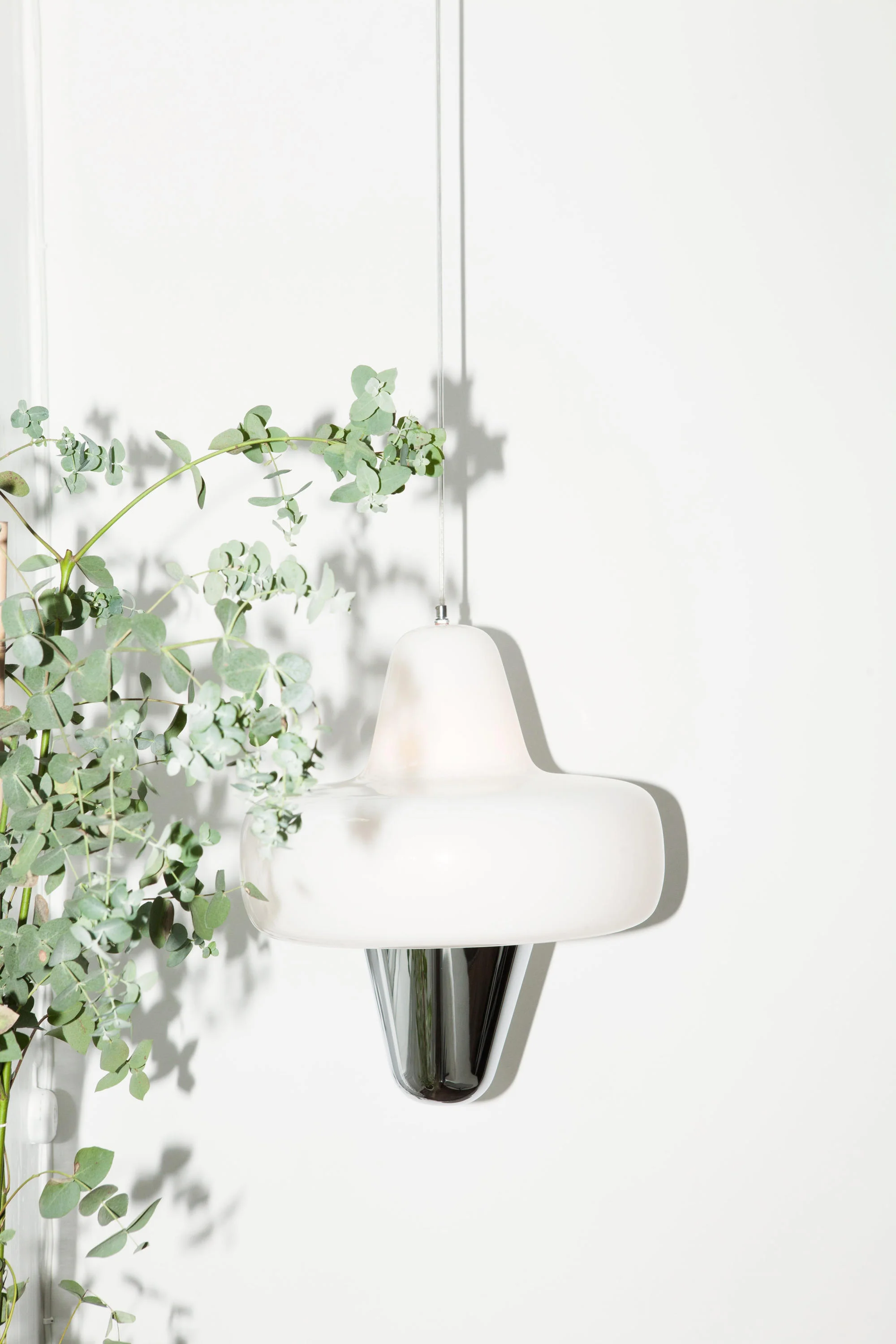 swan-lifestyle-1-h.jpg
