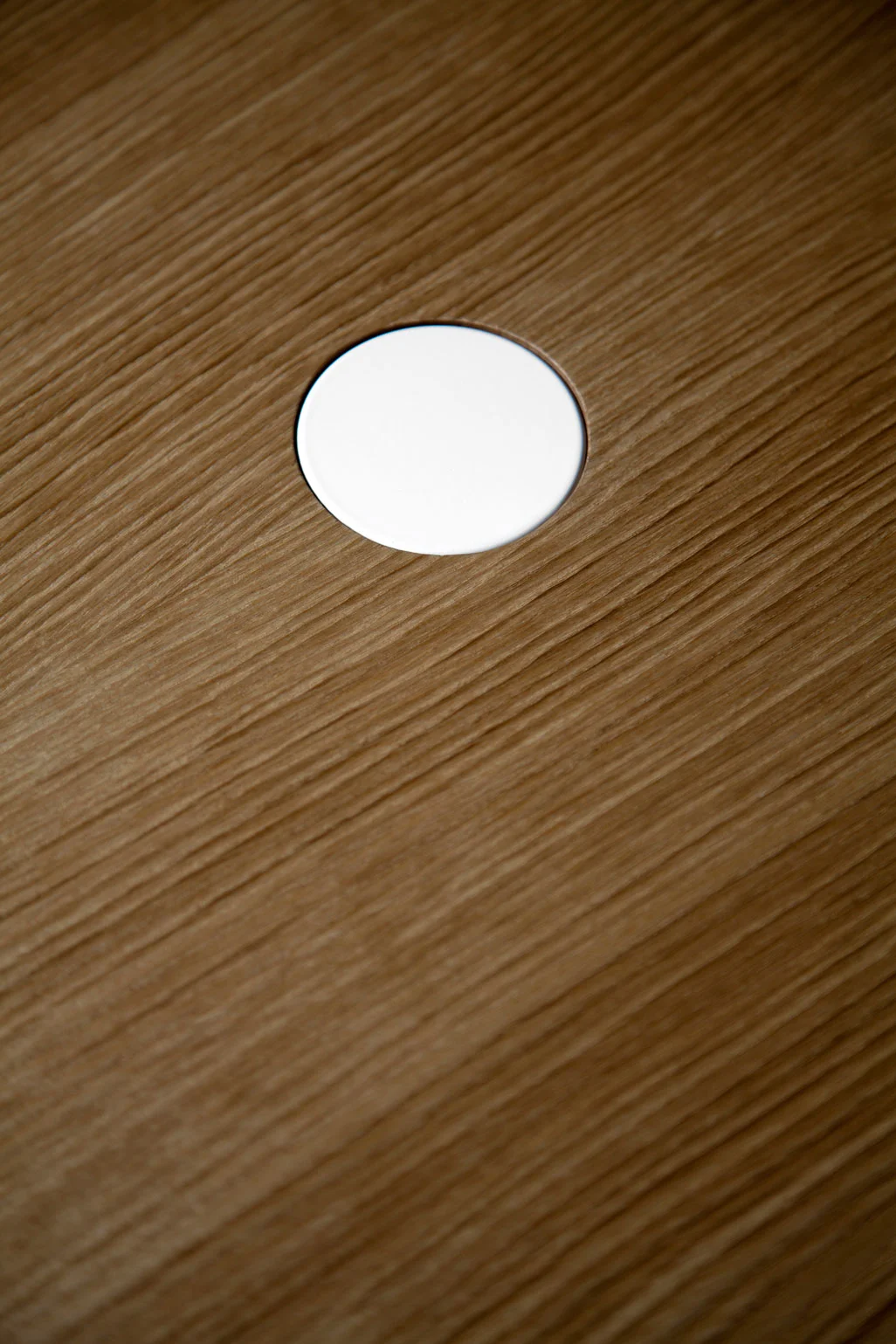 Nucleo_103.jpg