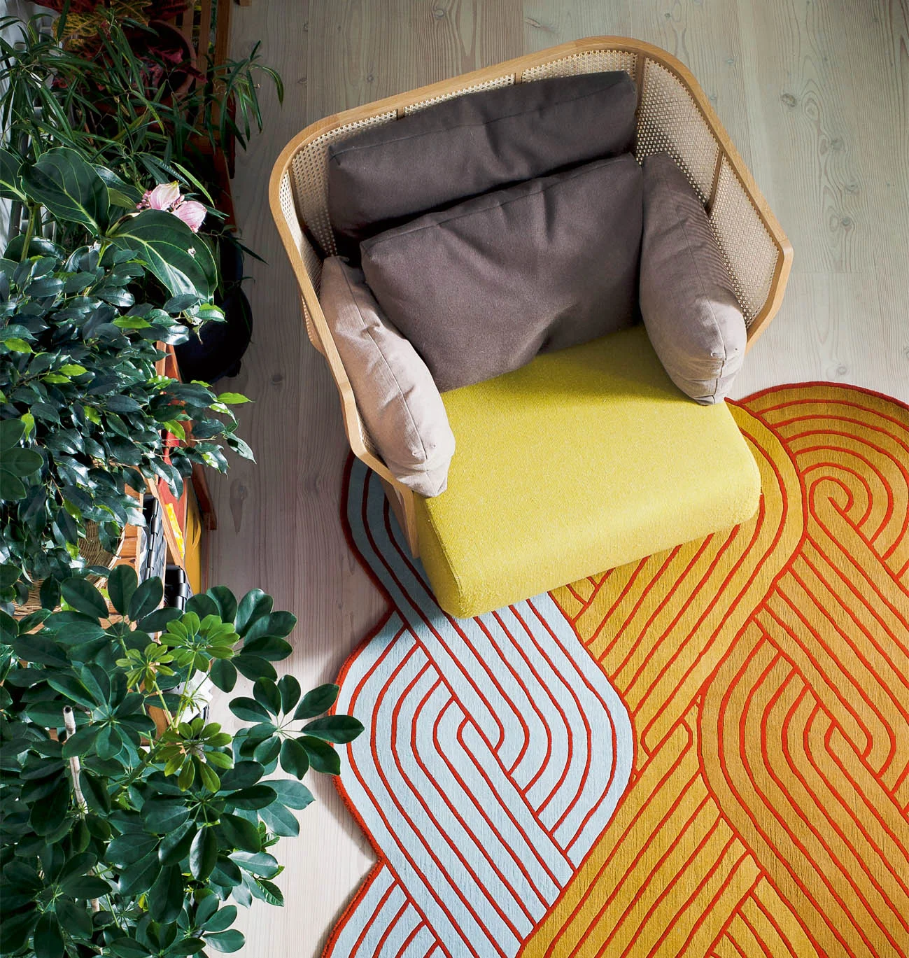 Bosc_Xistera_Fauteuil_Design_Iratzoki_Accoceberry_00.jpg
