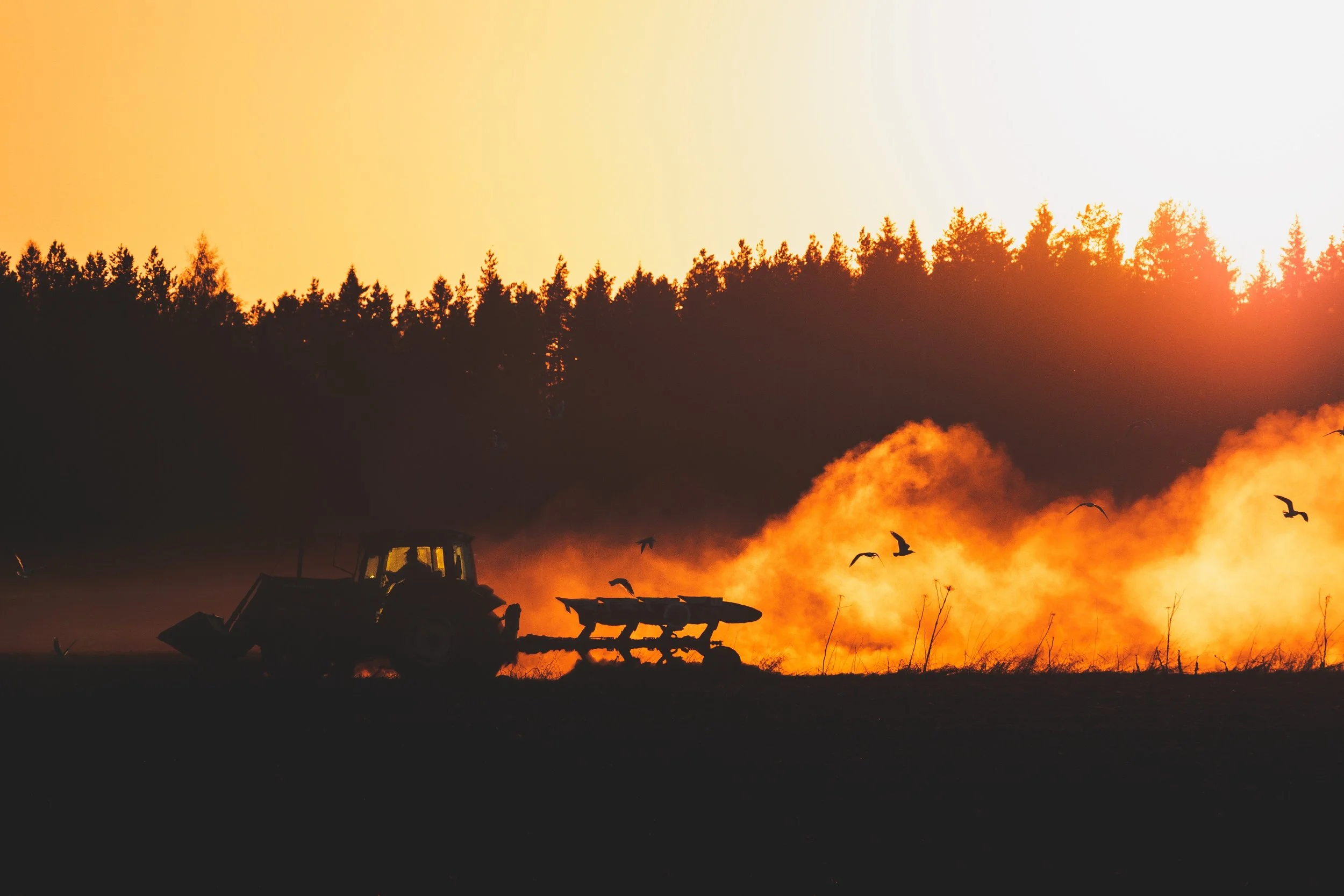 Agriculture: How Engineers Help To Feed Our Families