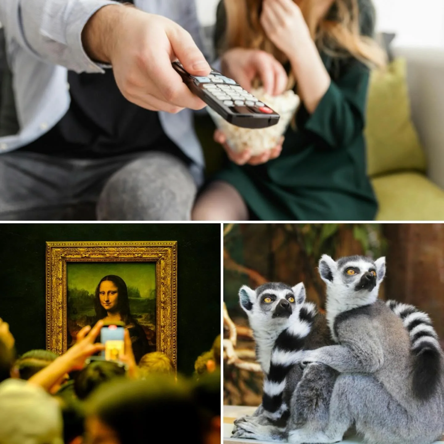 Happy November! Time to quiz you on lemurs, the Mona Lisa, and Canadian TV! Only at @stoutirishpubto #thebesttriviaintown