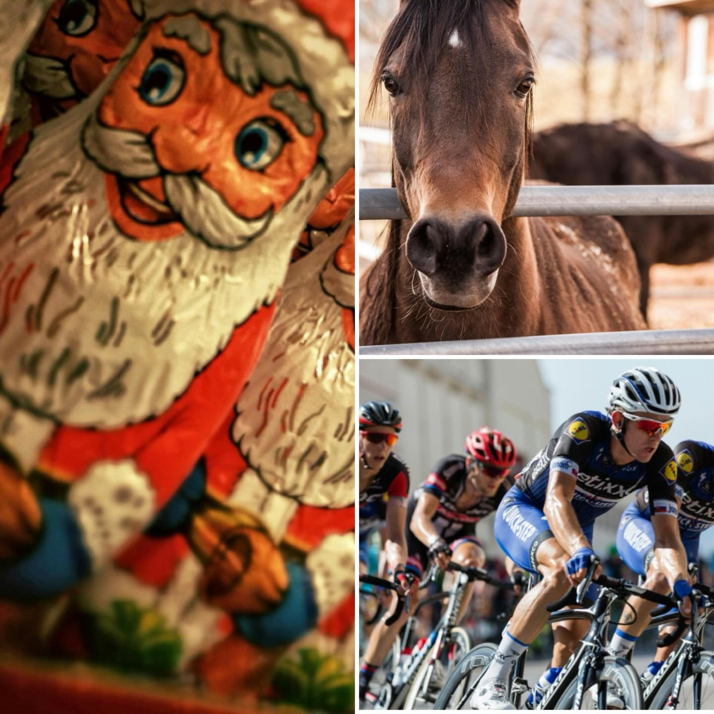 It's a new year but we're still asking about Santa - and horses and the Tour de France too! All this and more at #thebesttriviaintown @stoutirishpubto