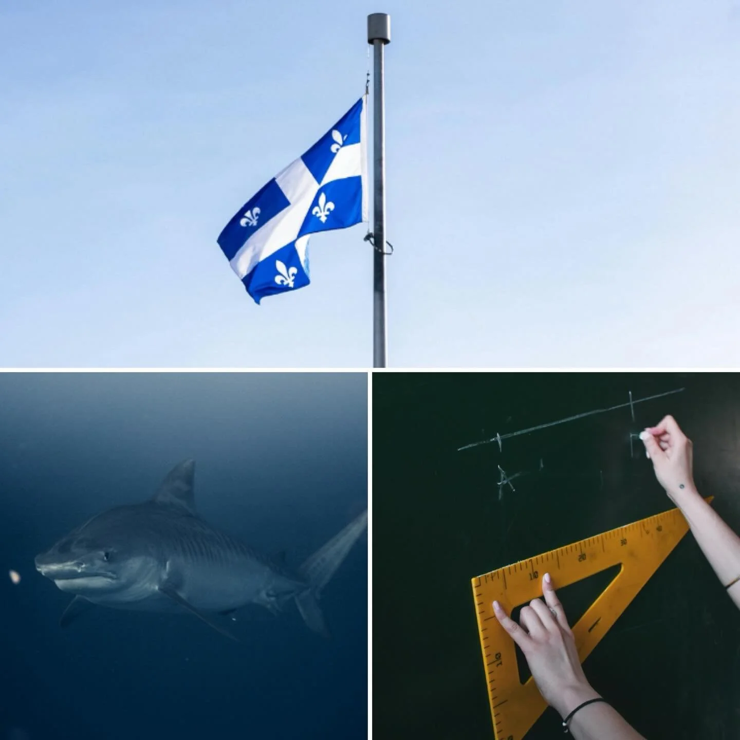 This week: the Quebec flag, shark sequels, and geometry! All this and more at @stoutirishpubto #thebesttriviaintown
