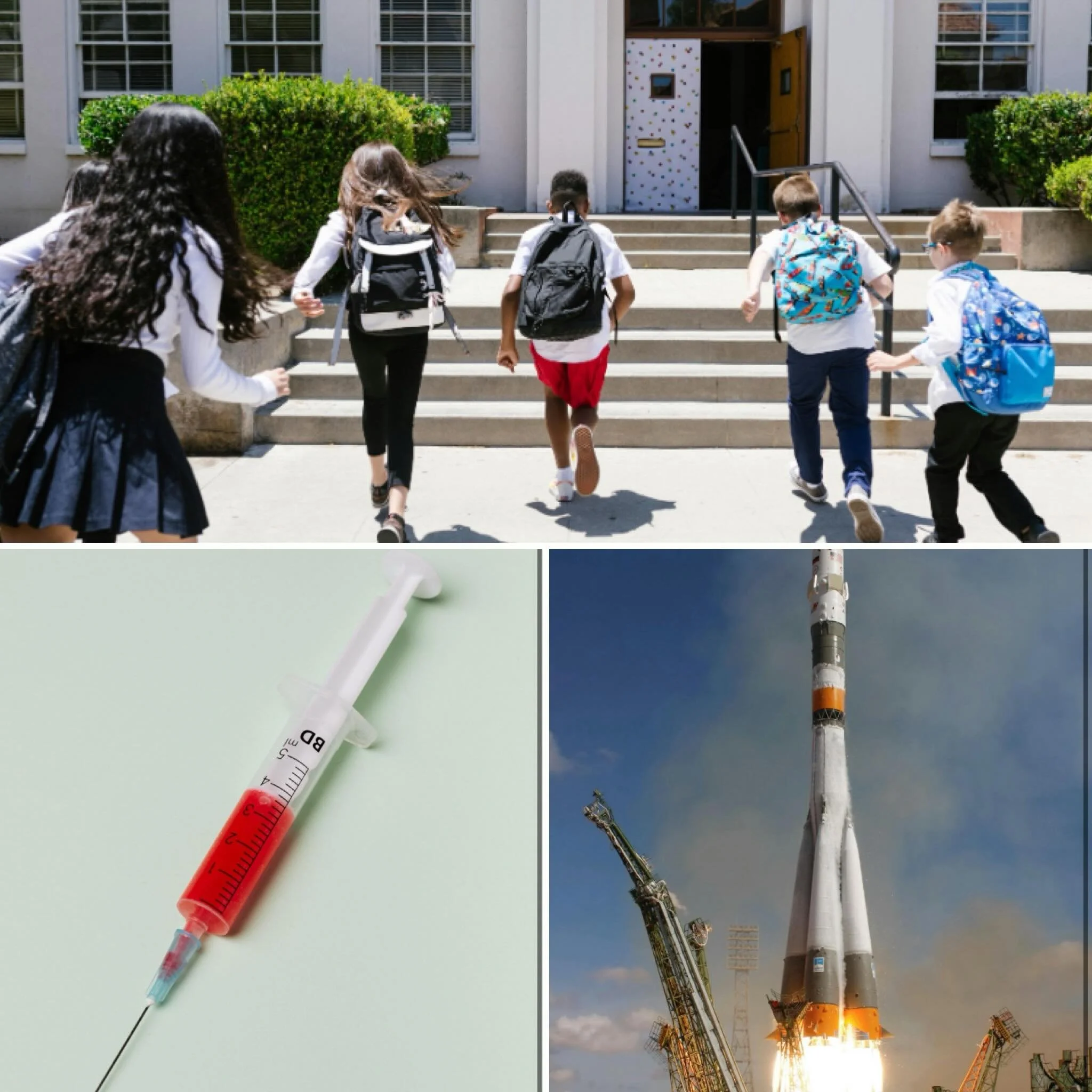 This week: blood types, French schools, and spaceships! All this and more at @stoutirishpubto  #thebesttriviaintown
