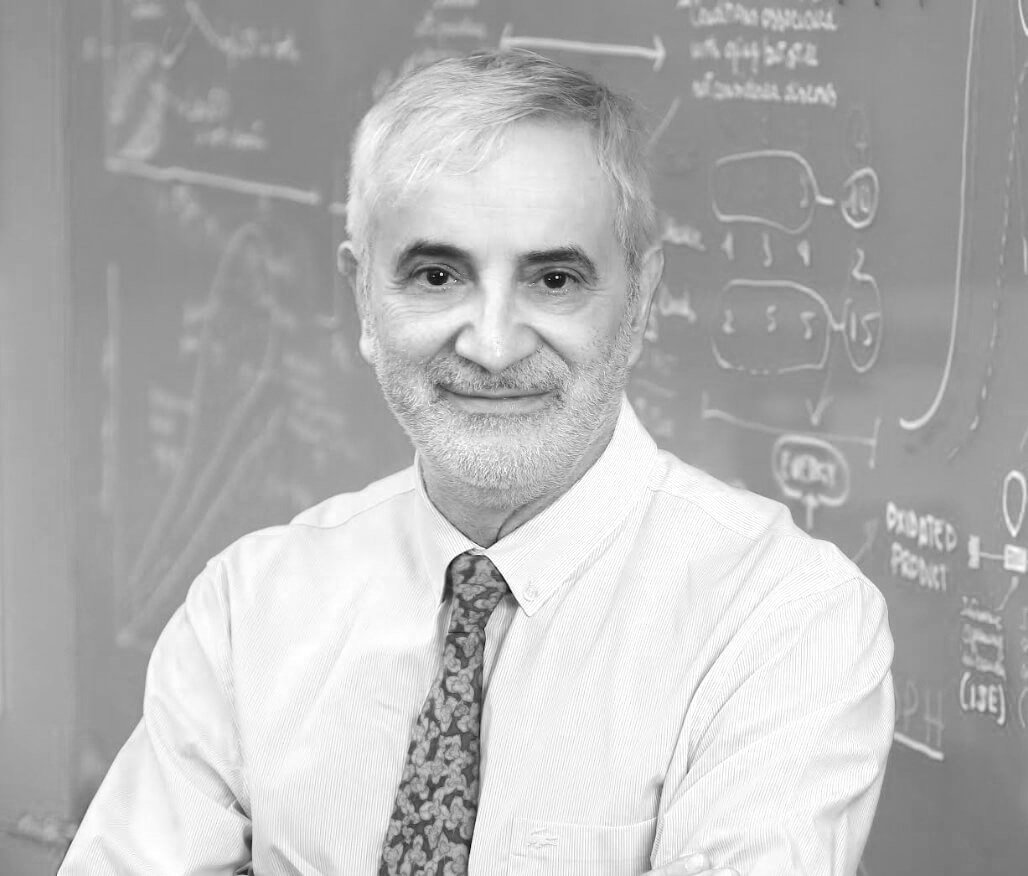 Luigi Ferrucci, MD, PhD