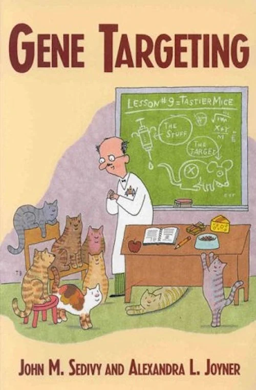 Gene Targeting | John Sedivy, PhD