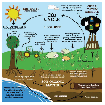 Image courtesy of the Carbon Cycle Institute