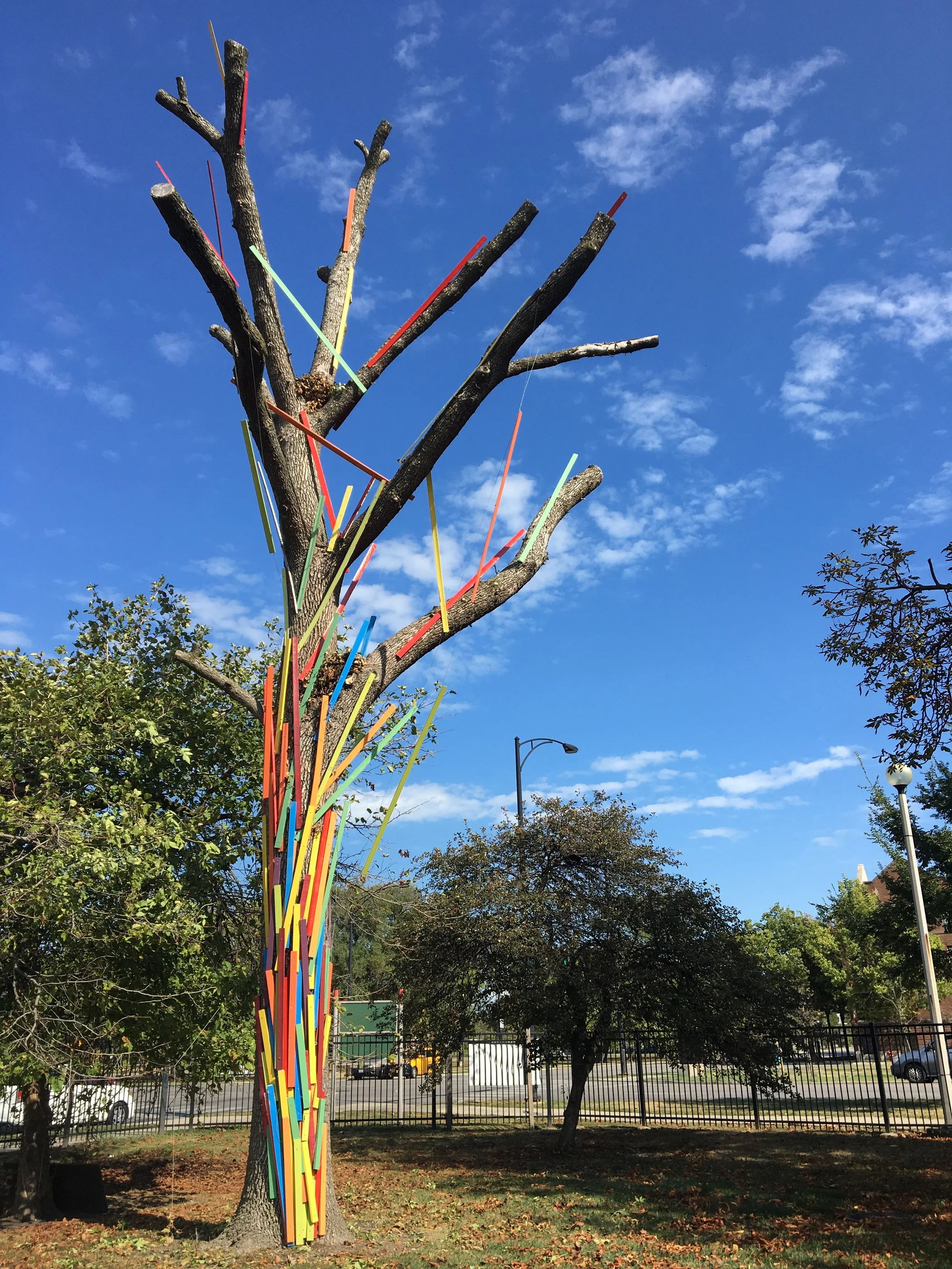 Shards of the Rainbow, 2016-2017