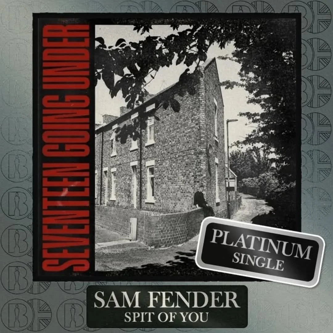 Played some trombone on this beautiful song for @sam_fender a couple of years ago! Recorded at @grouselodgestudios by the gents @bramwellbronte and @markbrought , great memories. Amazing that it's gone platinum after all this time.