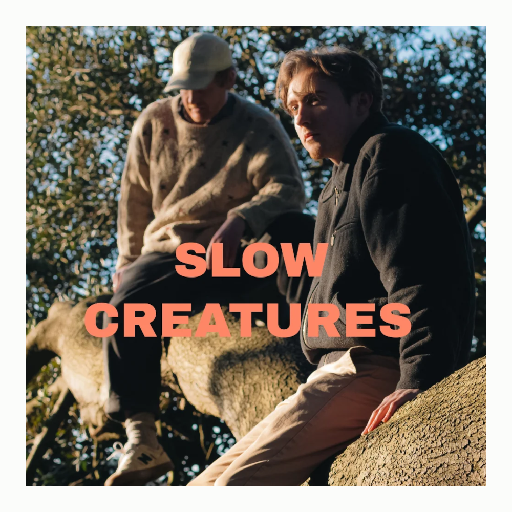 Slow Creatures.png
