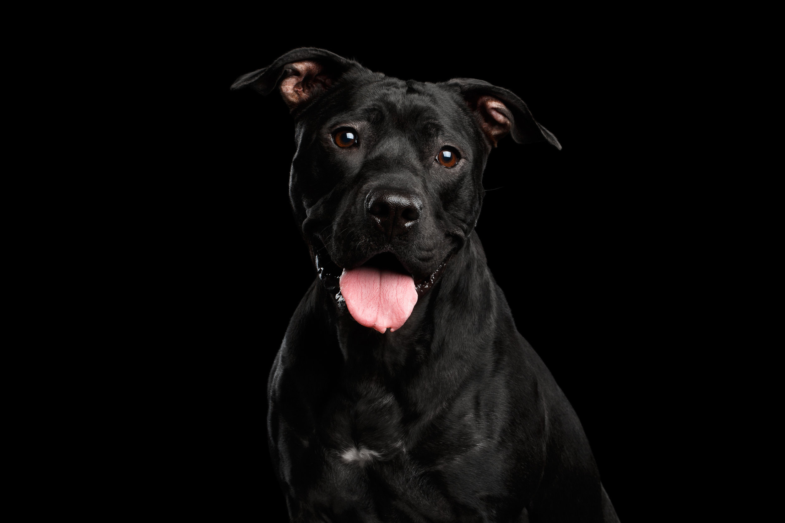 AdobeStock_206837711.jpeg