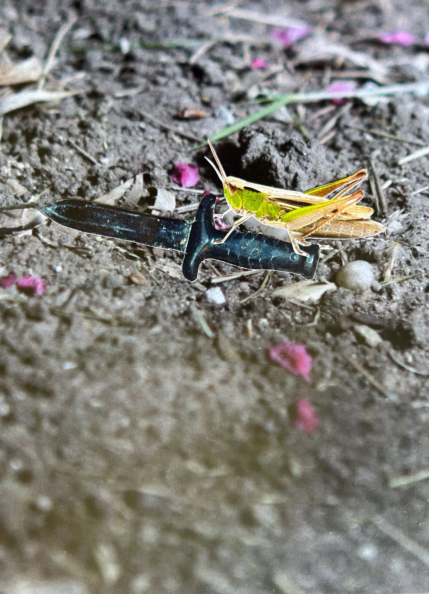 14224091-BDBB-4759-B977-6684B79F244F.jpeg
