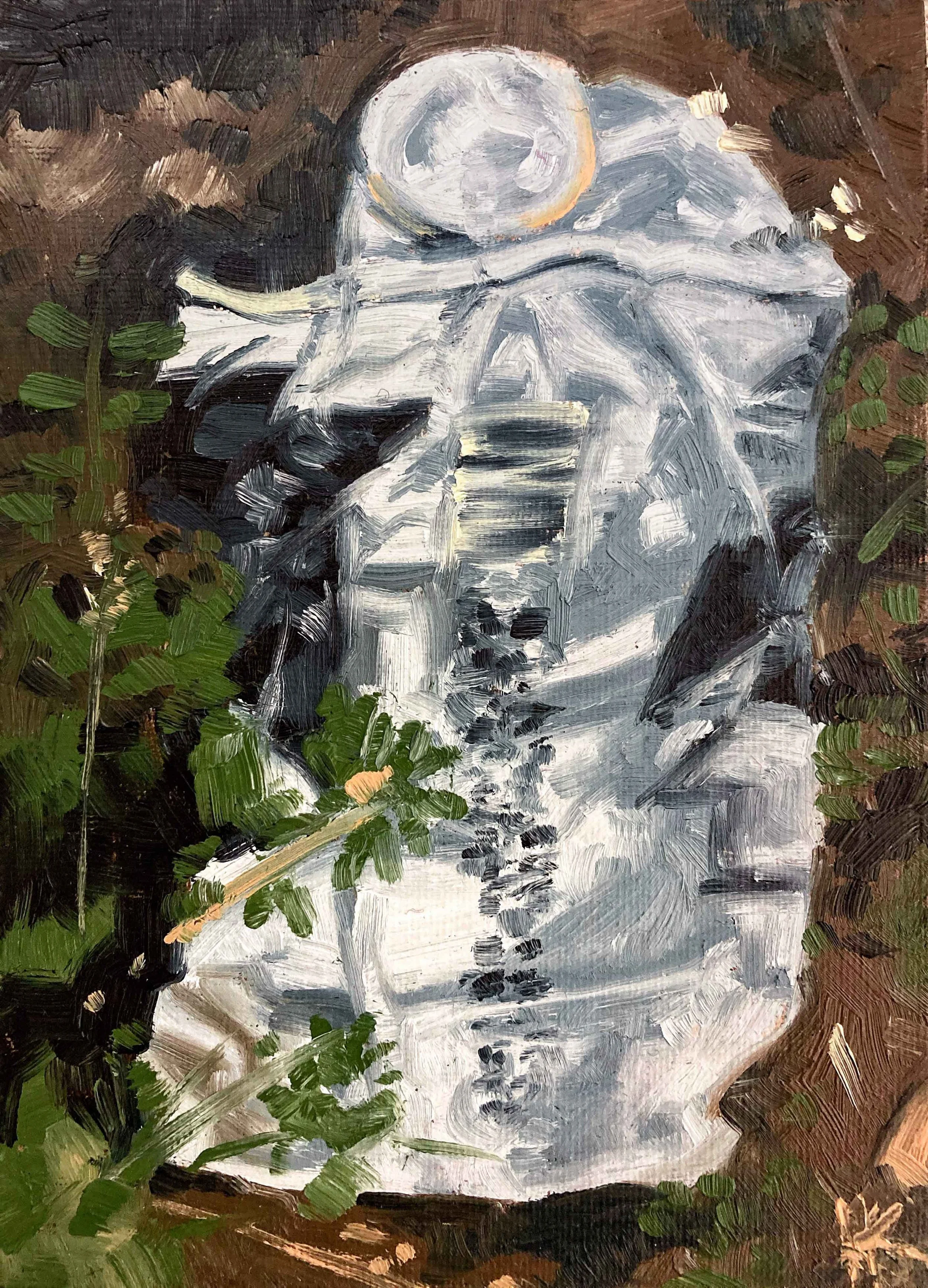 CanStudy_1_5x7_oil_2020_WEB.jpg