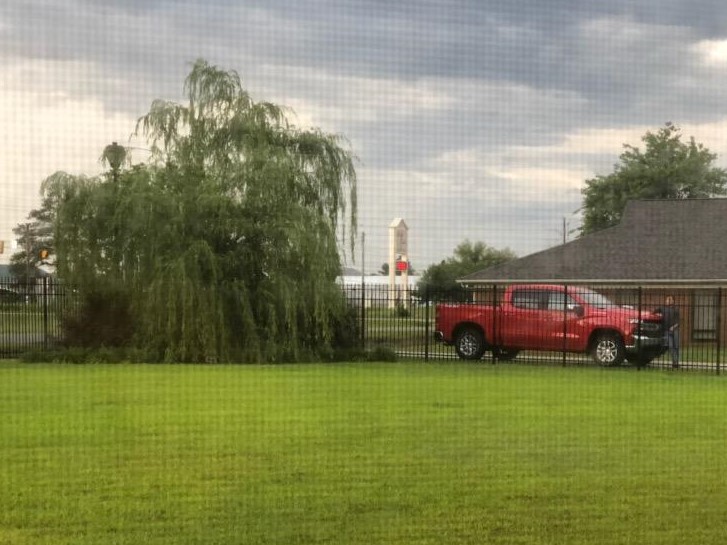 Red Truck and the Weeping Willow