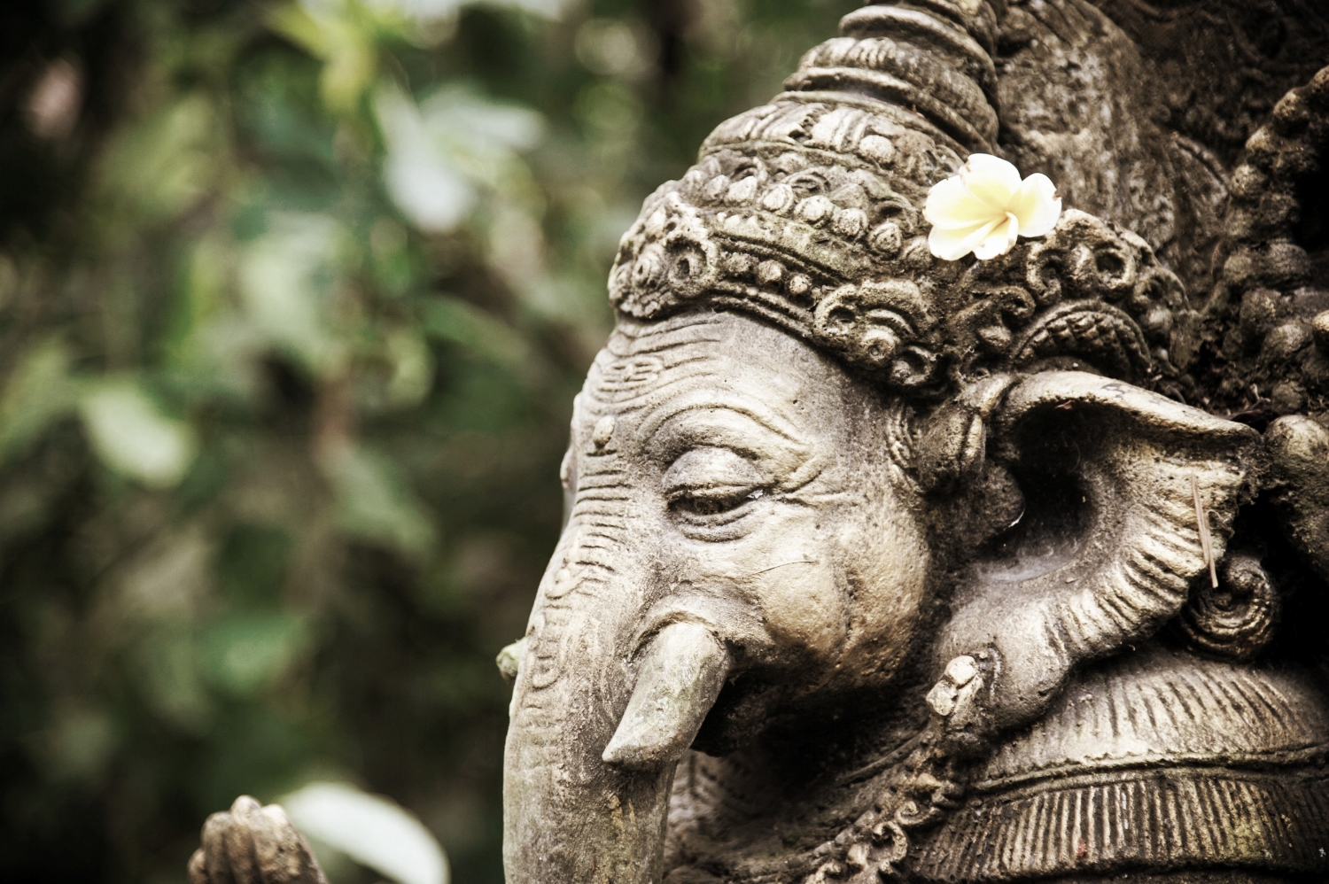 ganesh.jpg