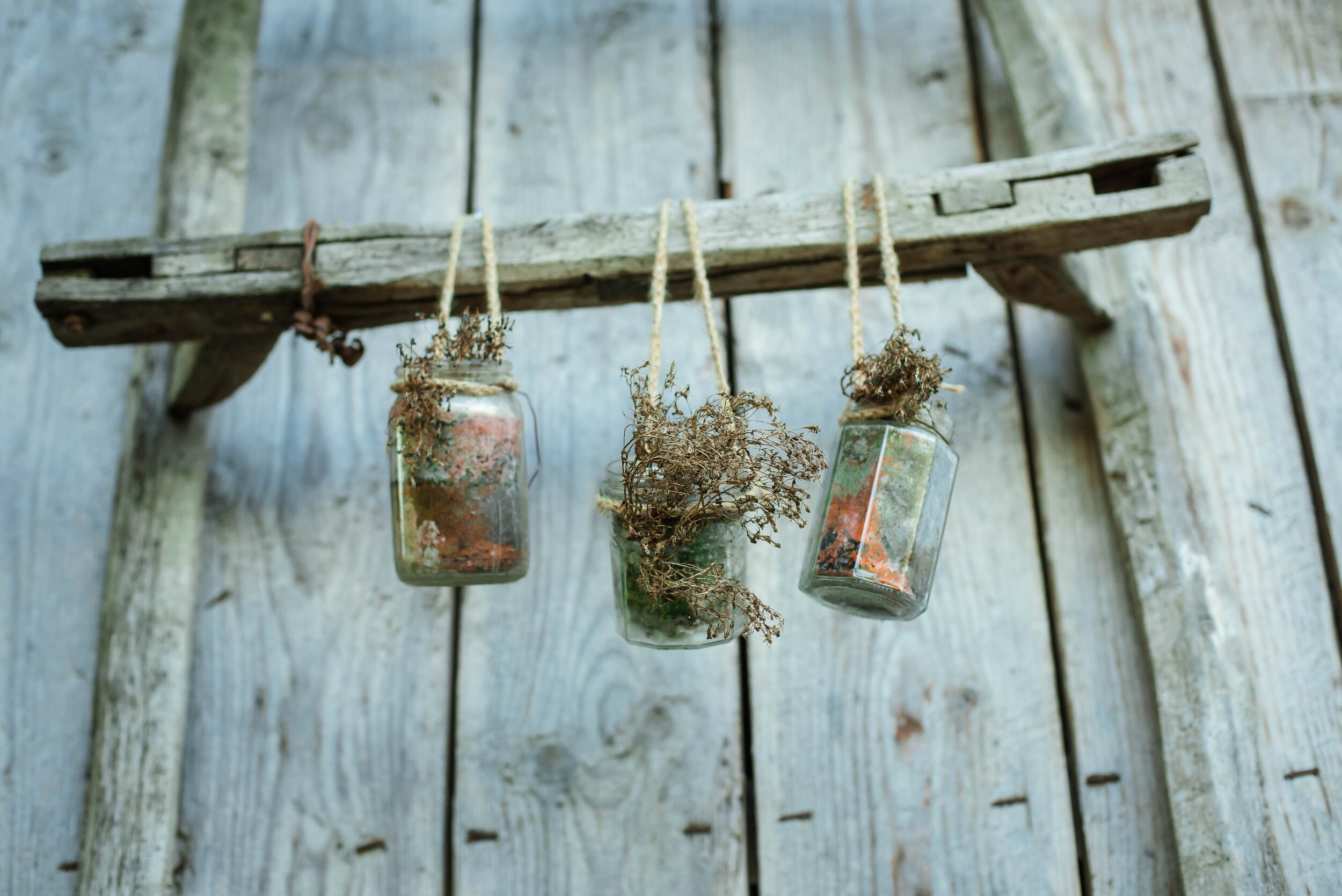 artsy-vibes-bIpeJYfB7gk-unsplash.jpg