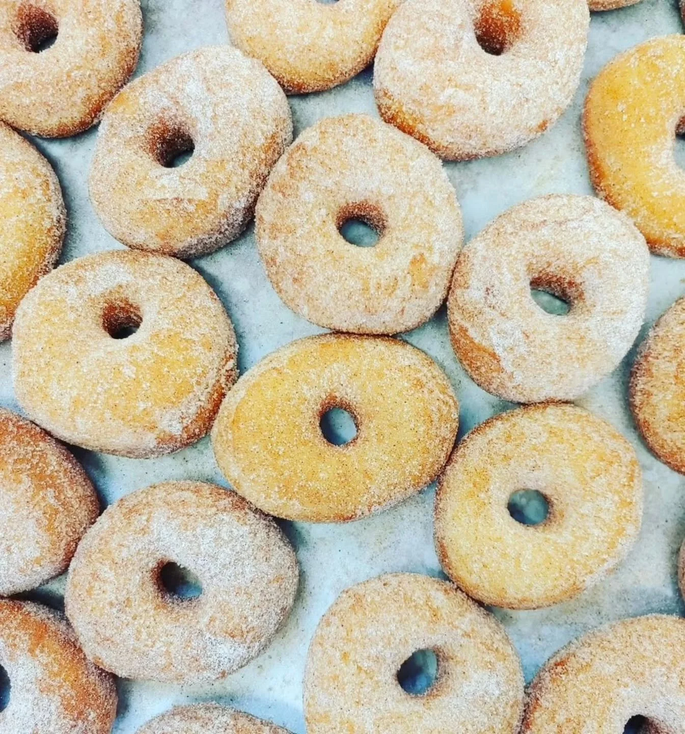 Oooh! Doughnut Saturdays are BACK at Sweet Life for the fall! 
.
Every year from September to November, I offer my light and pillowy yeast raised doughnuts on Saturdays. We offer cinnamon sugar and vanilla glazed. They are ready and piping hot at 8am
