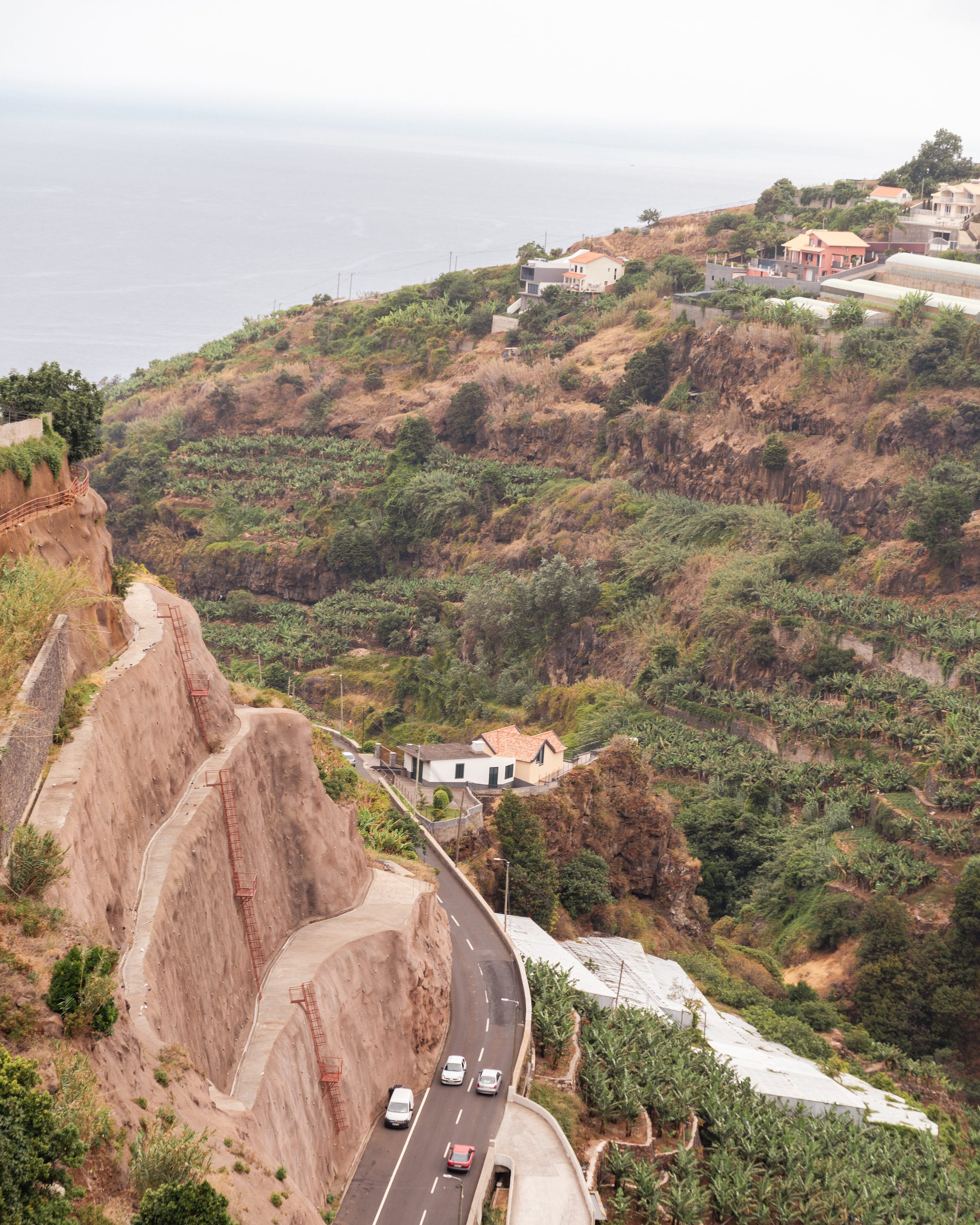 madeira-hike-5.jpg