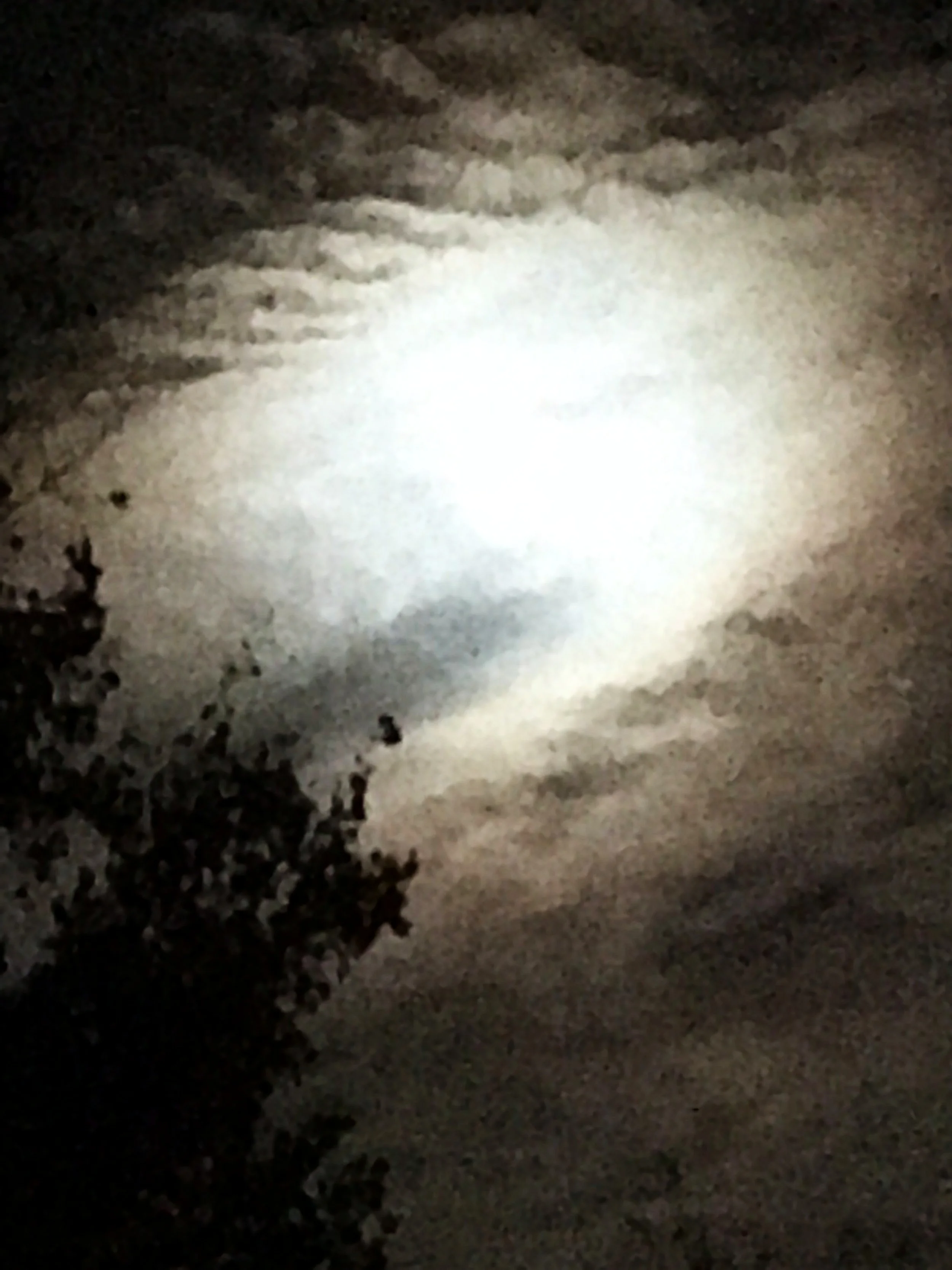 Mind, body, and spirit