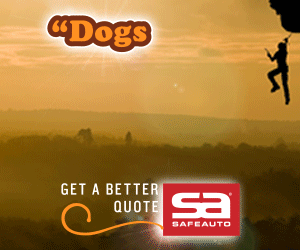 013017_SA-TQ_best-friend_300x250.gif