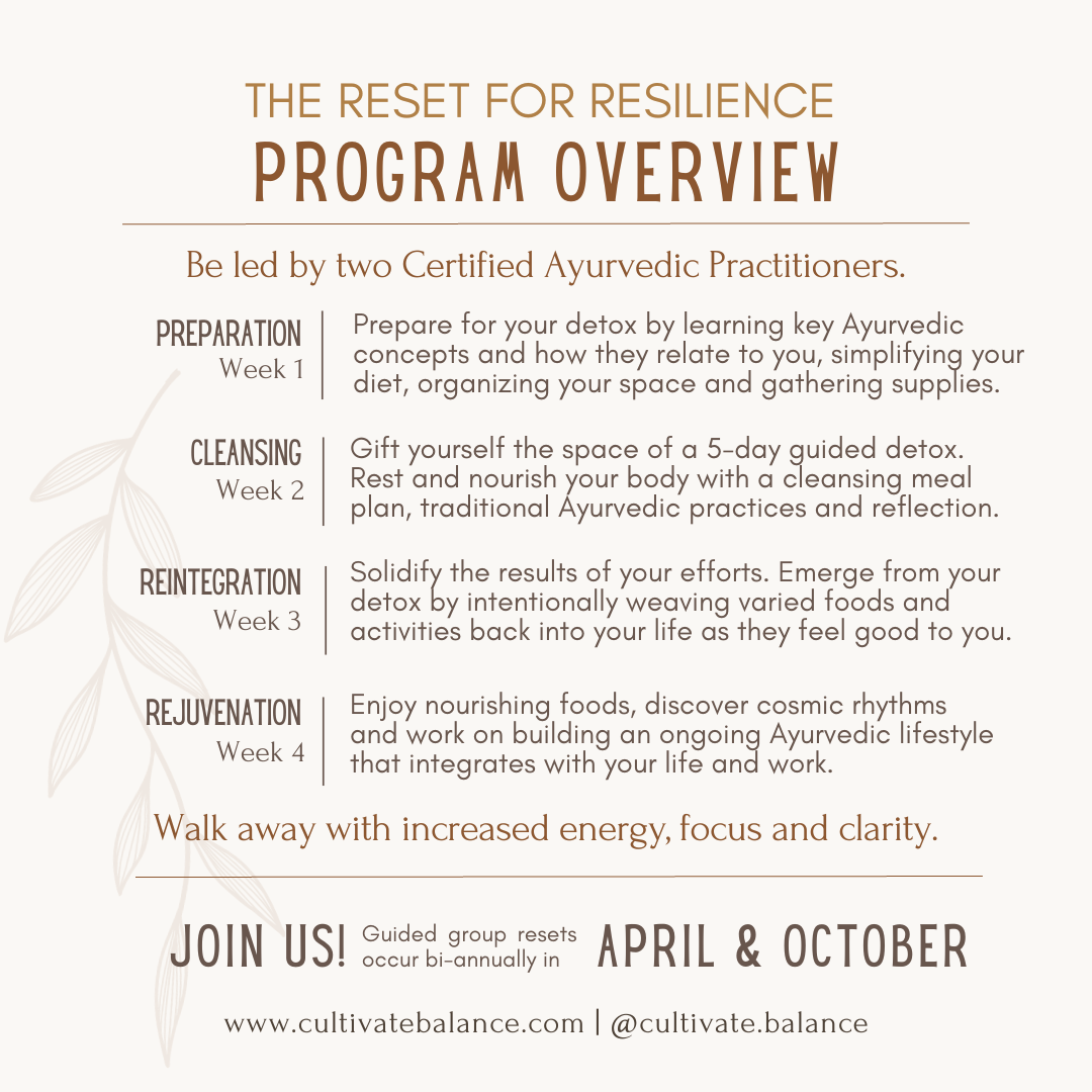Reset for Resilience Overview.png