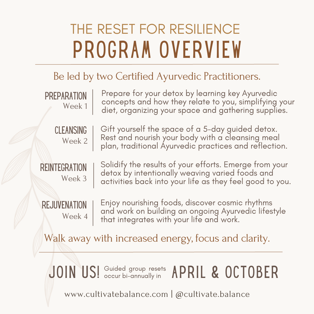 Reset for Resilience Overview.png