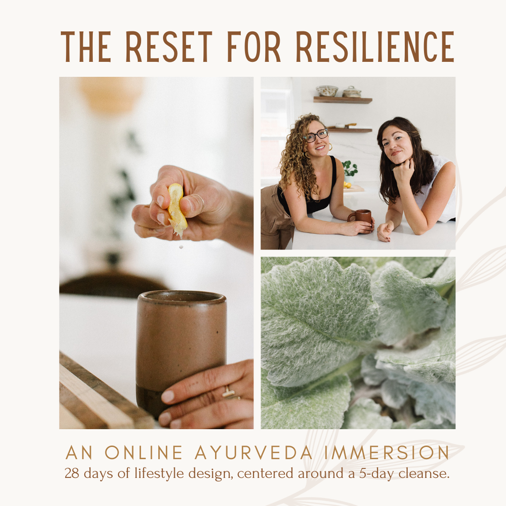 Reset for Resilience | Onilne Immersion copy.png