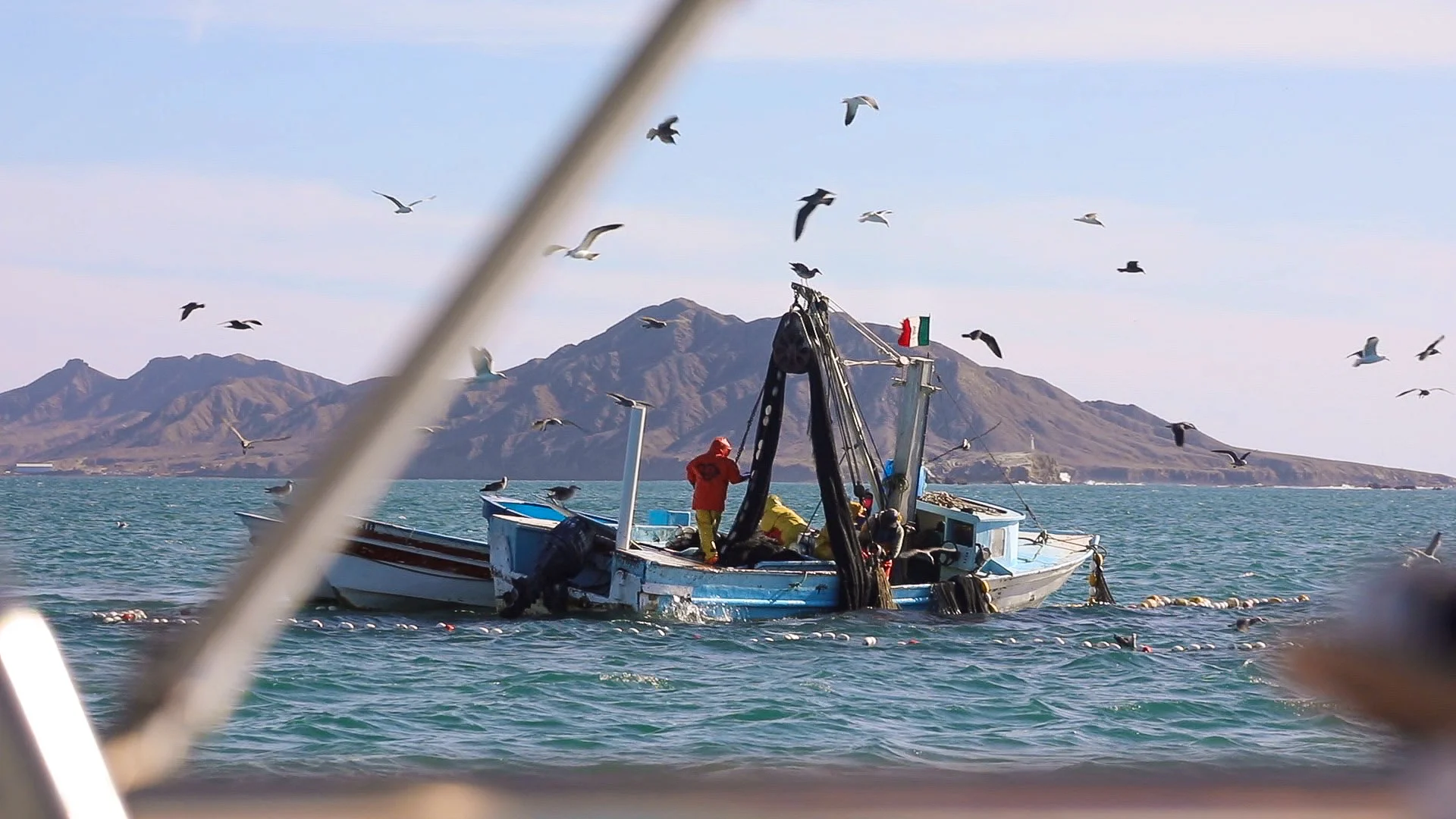 Onward to Bahia Tortugas