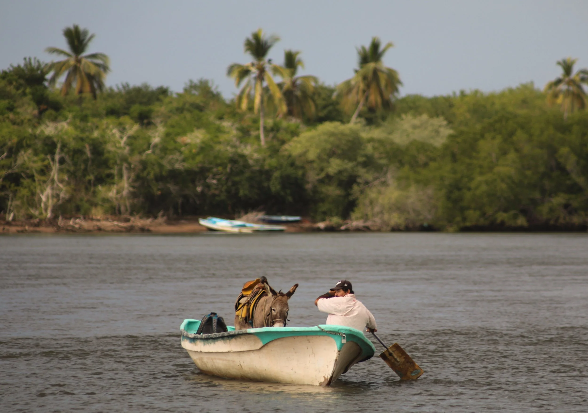 Cruising with Crocodiles