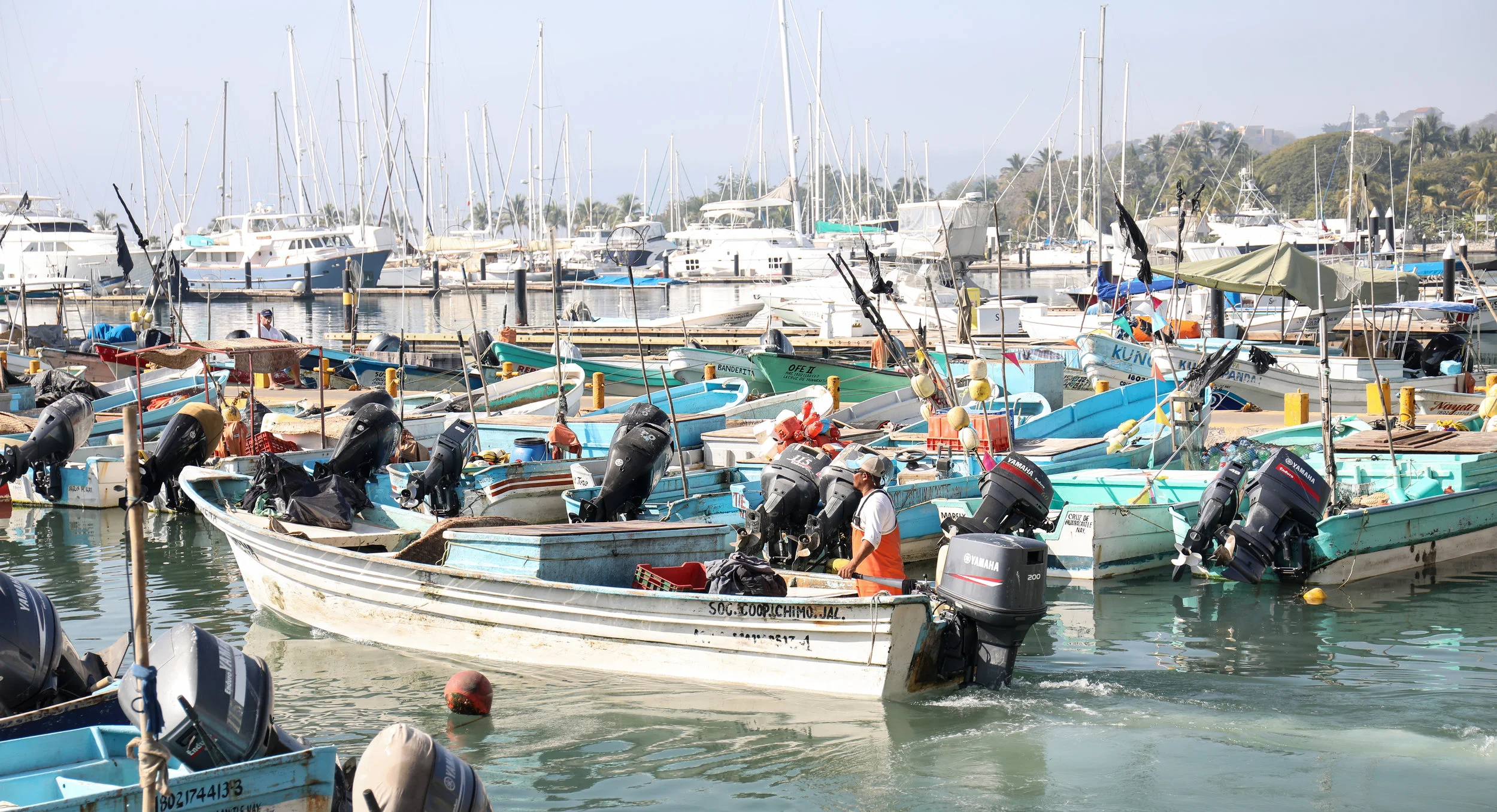 Fishing pangas lined up in La Cruz.