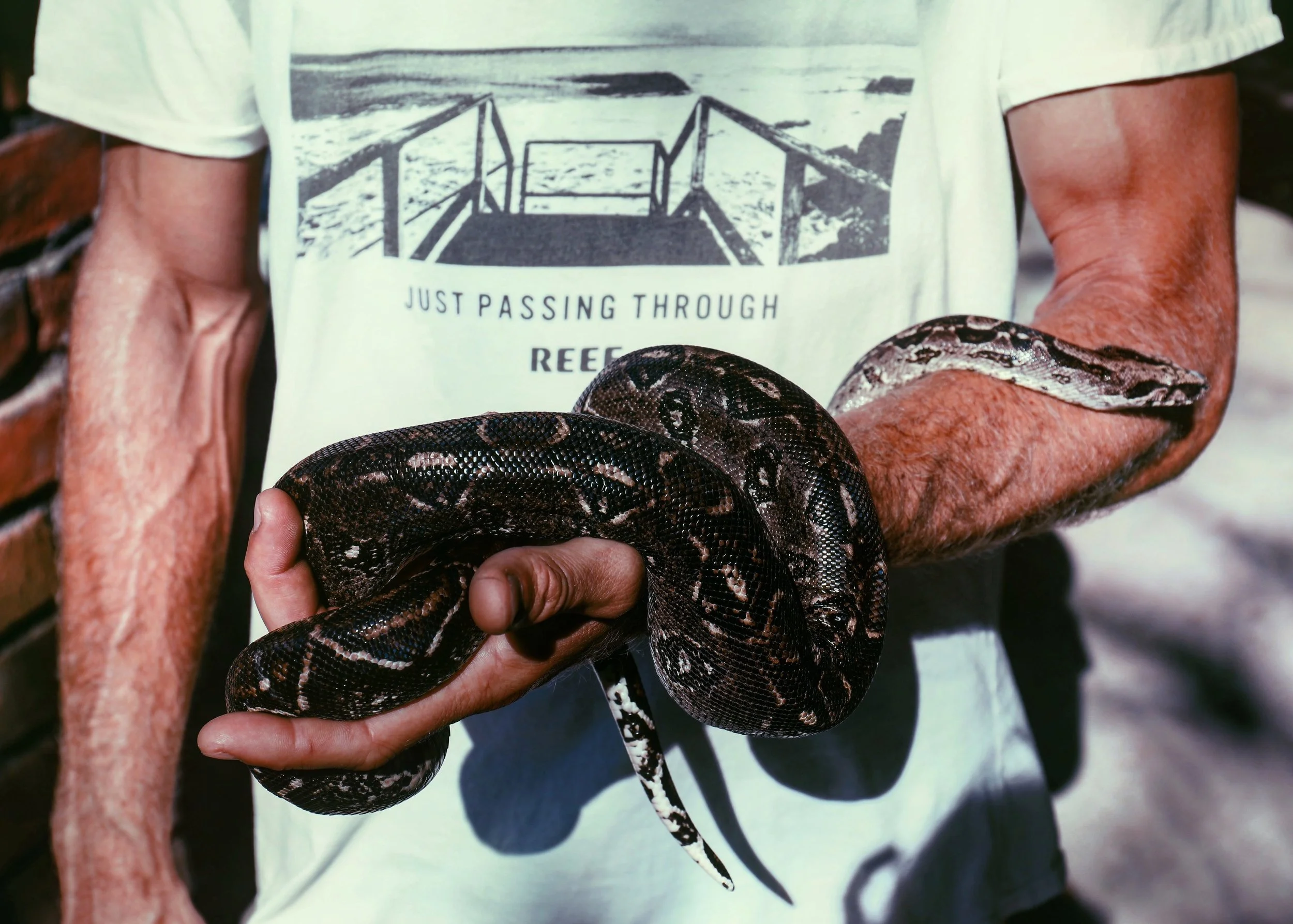 Josh holding a beautiful boa.