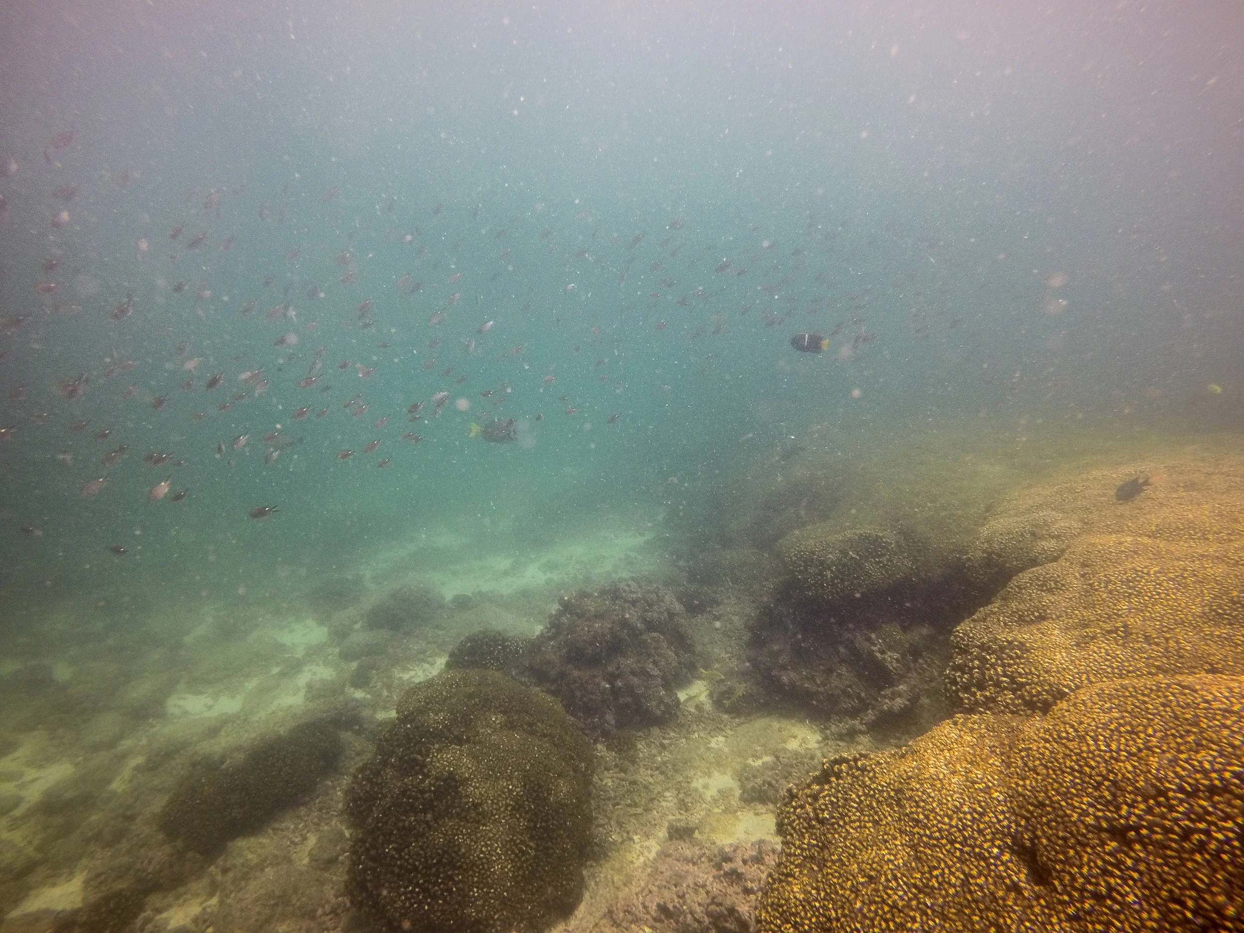 The best visibility we’ve had since leaving California. One day….