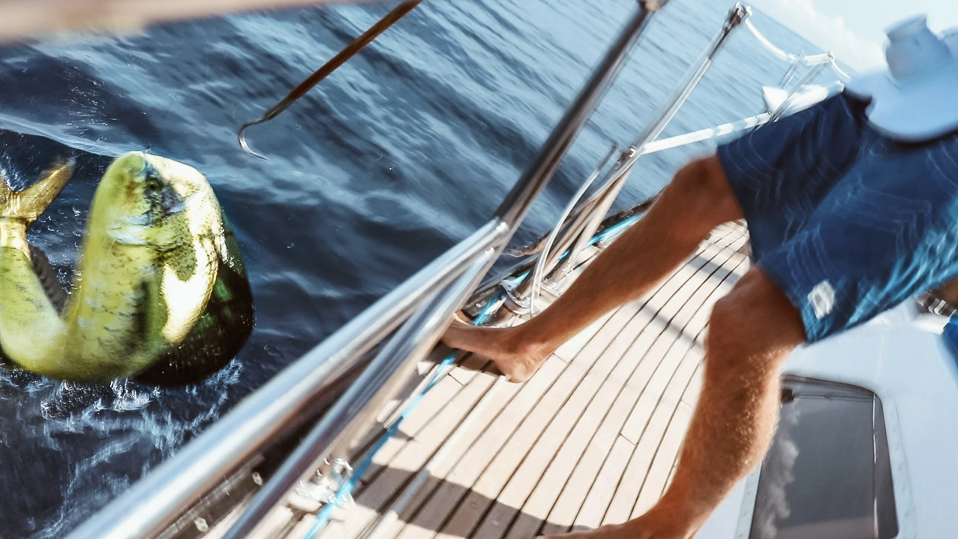 Seconds before getting him on board the mahi snapped our gaff in half and shook the hook. It was one of the most disheartening moments we’ve ever had aboard Agape.