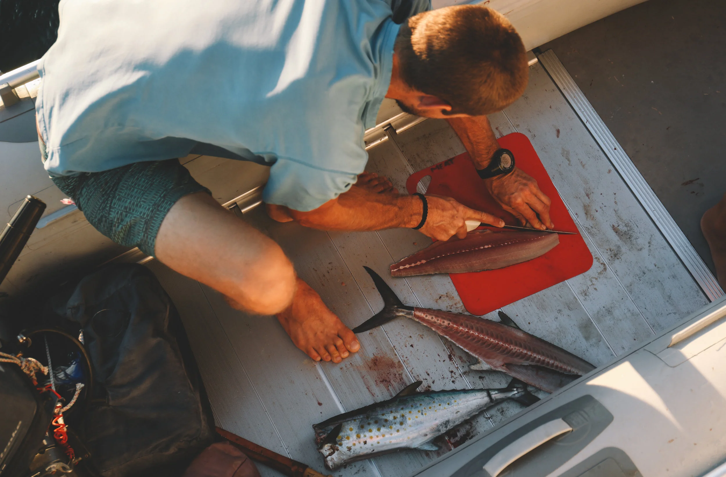 Sierra mackerel is one of our favorite fish for ceviche.