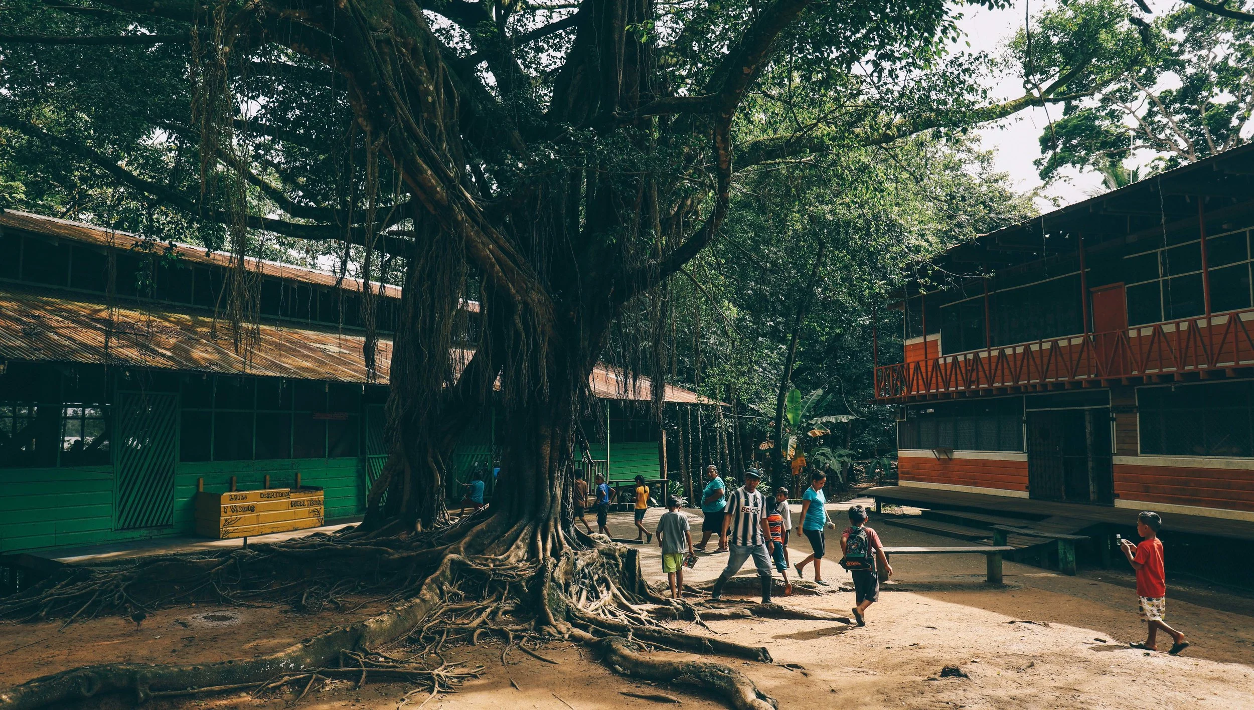Dinning hall on the left and girls home on the right.