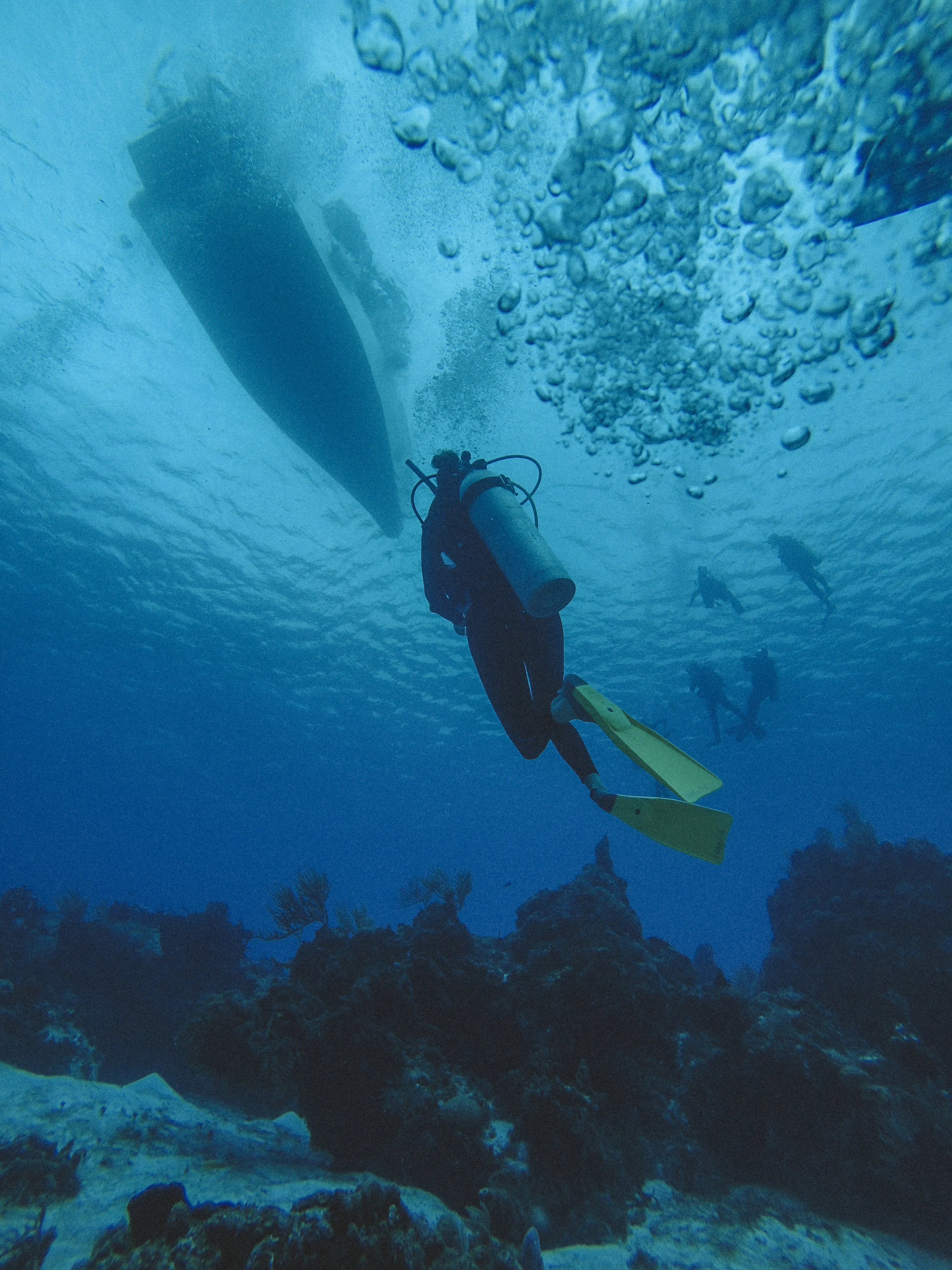 VIRB0313-5.jpg