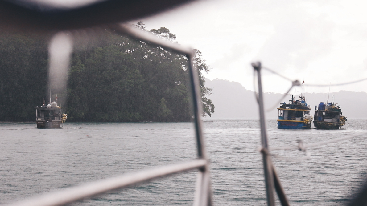 Local fishing boats seeking shelter in the lee of the island with us.