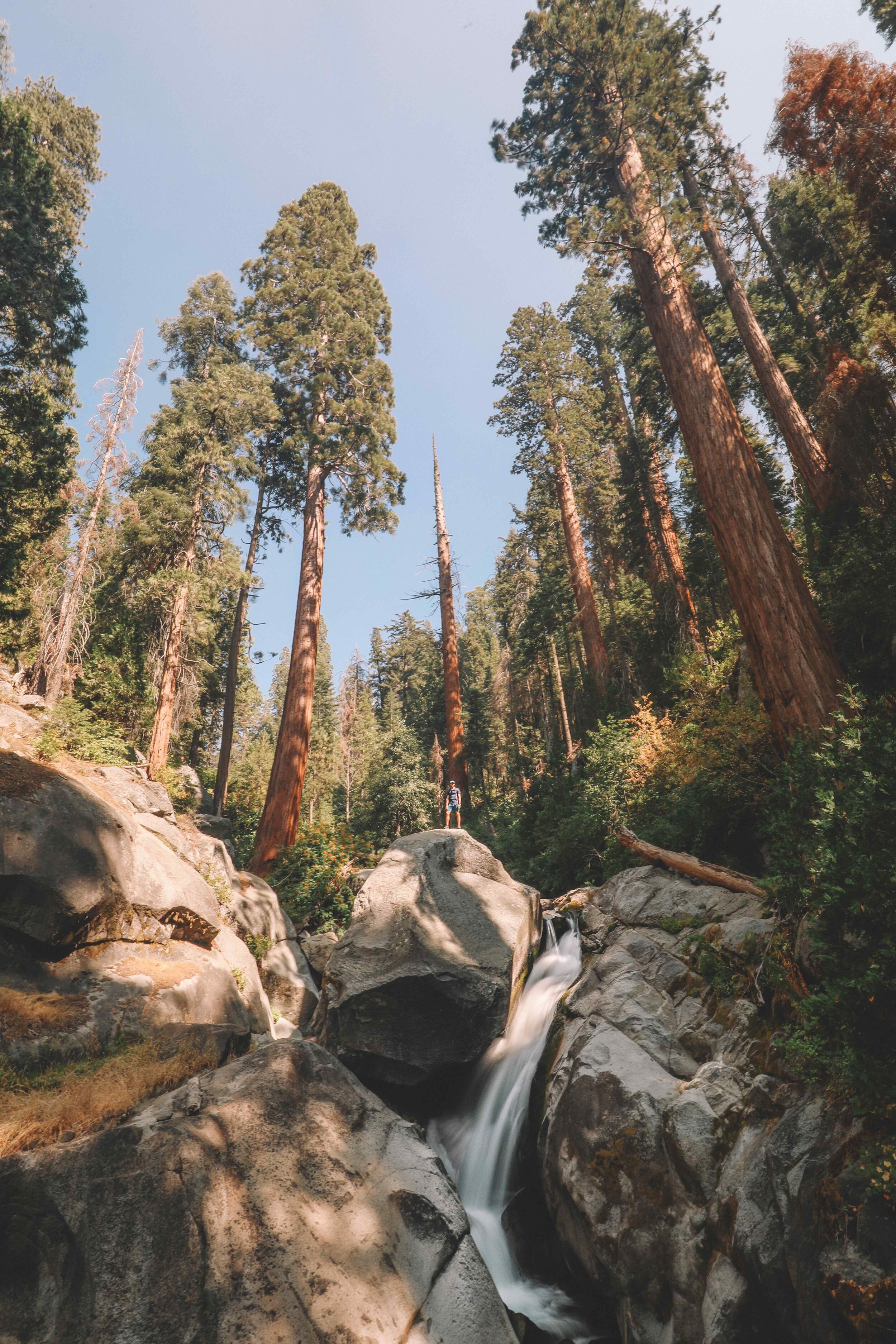 Can you spot the tiny humans in these photos?