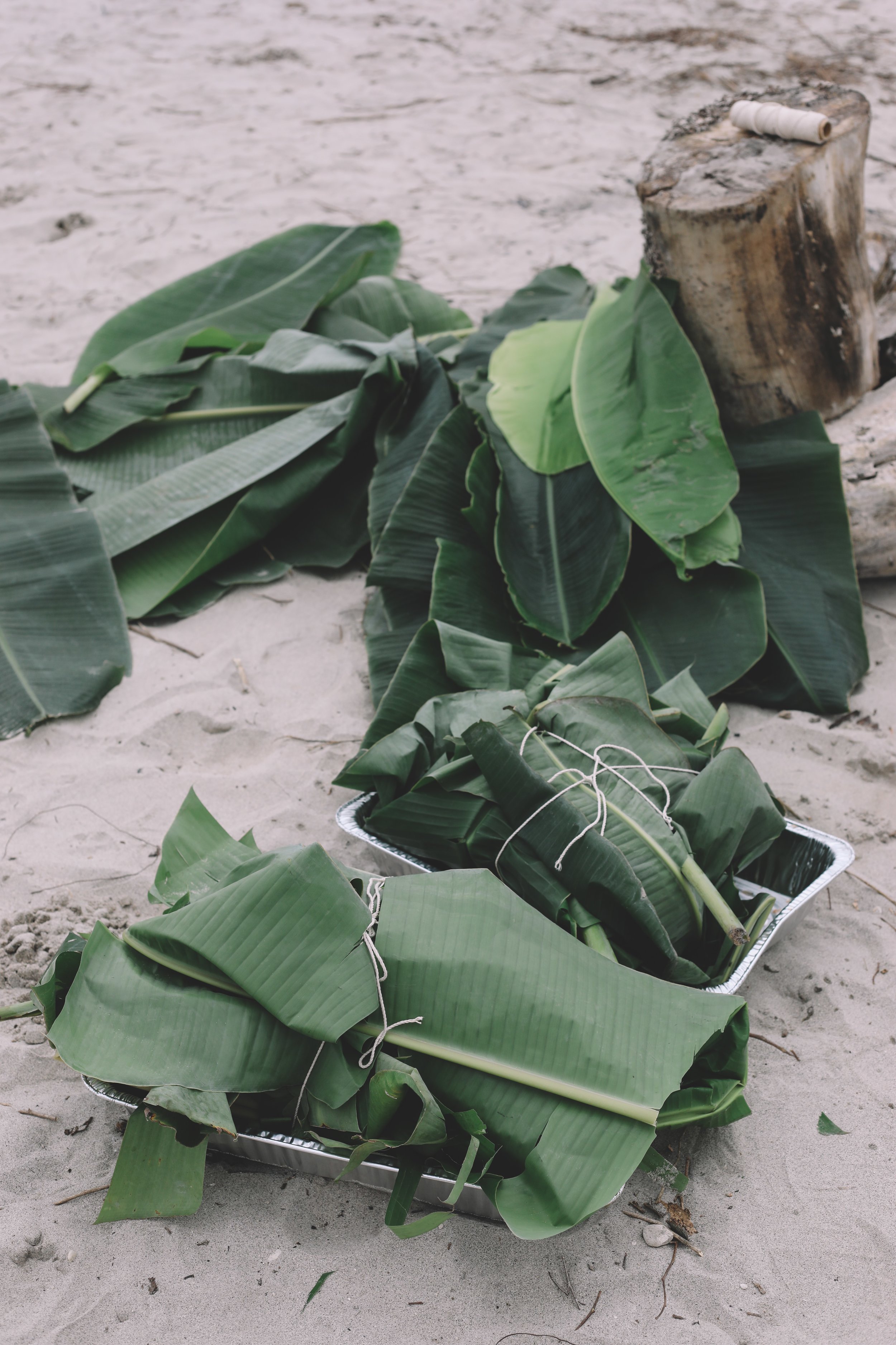 Cooking up the turkeys in banana leaves in a hot pit.