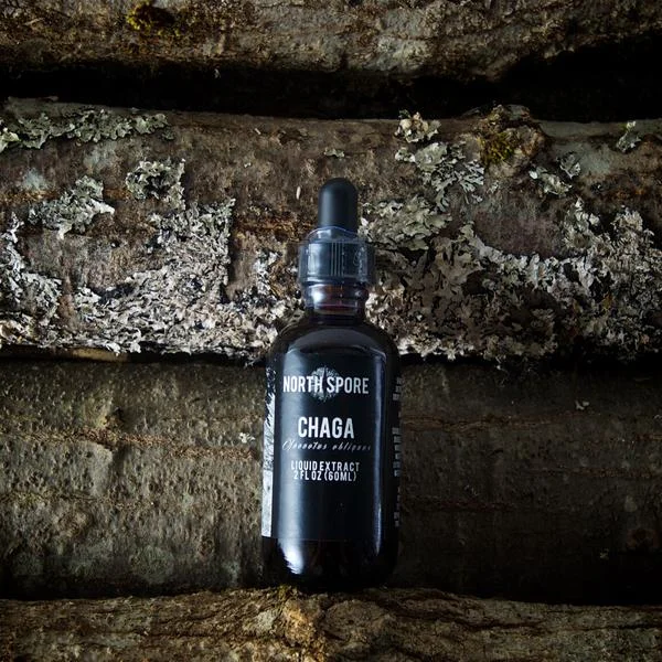 chaga600x600.jpg