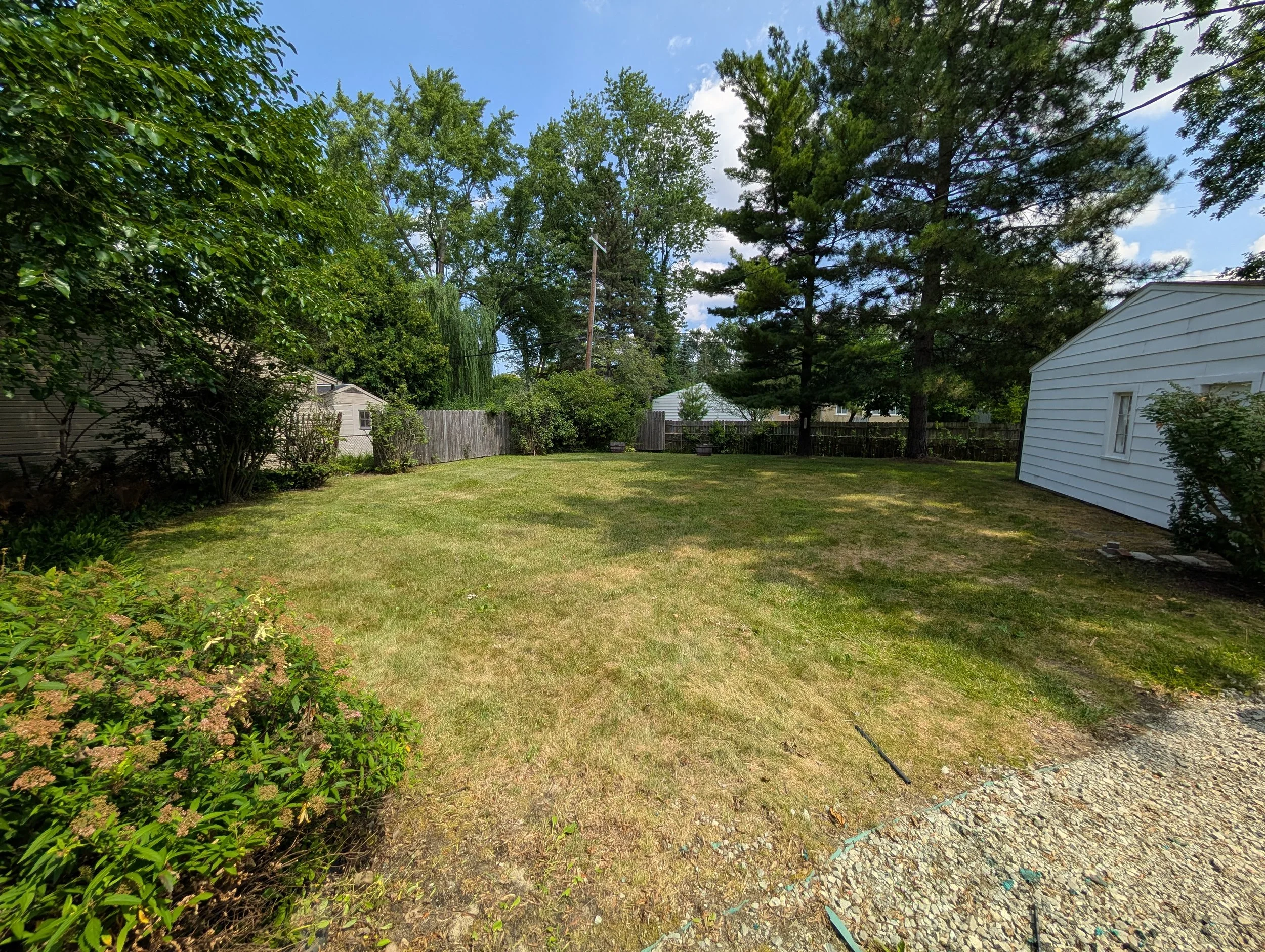 PXL_20250728_161231362.jpg
